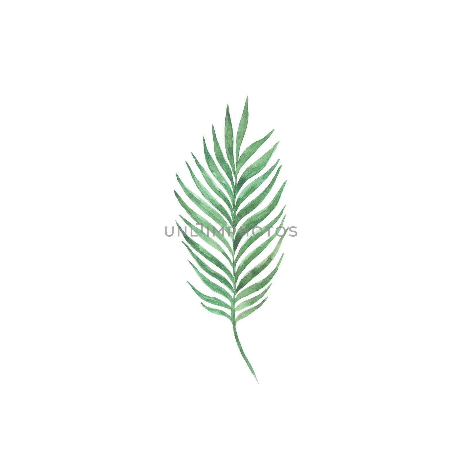 Bright watercolor leaf isolated on easy for cut white background