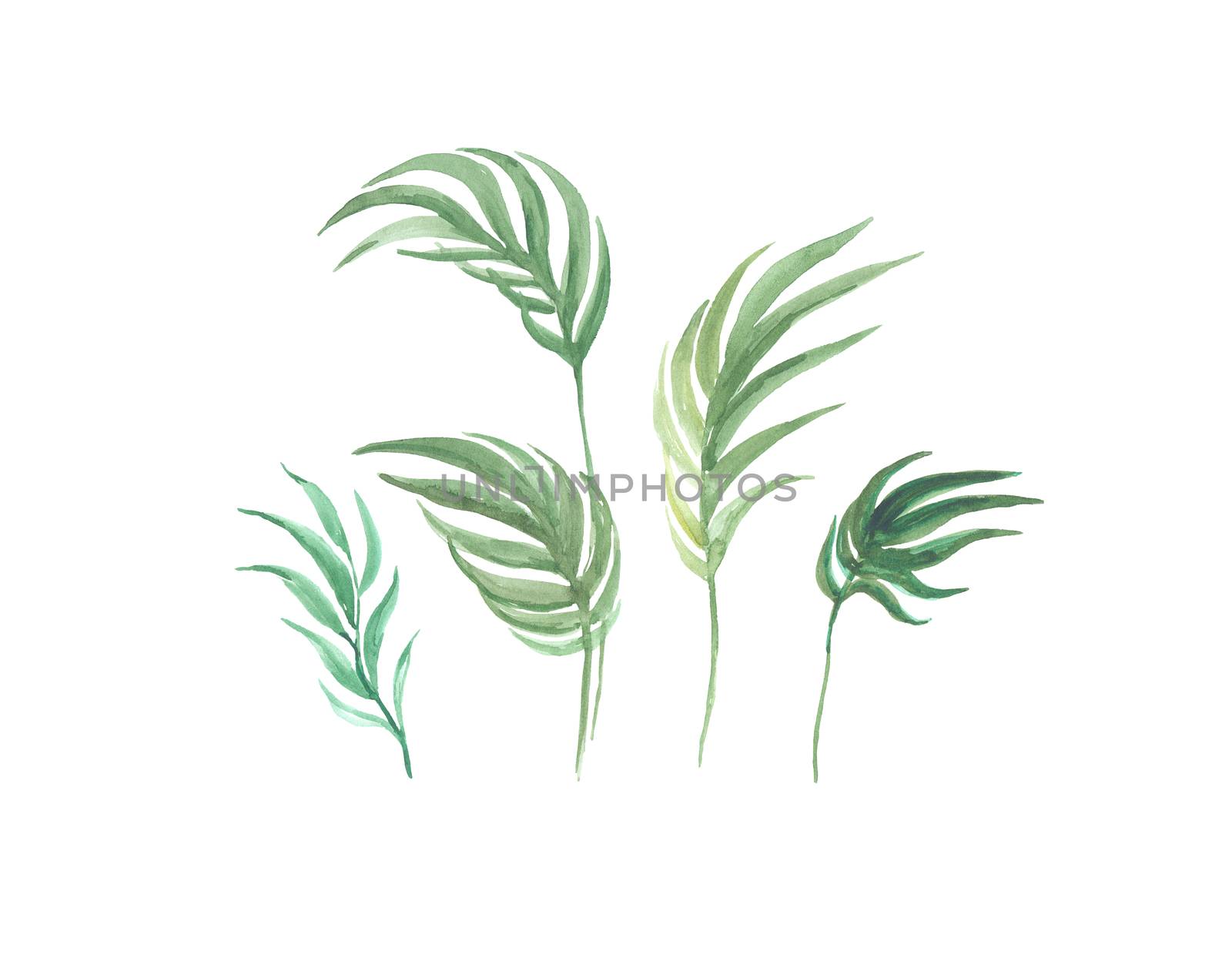 Bright watercolor leaf isolated on easy for cut white background