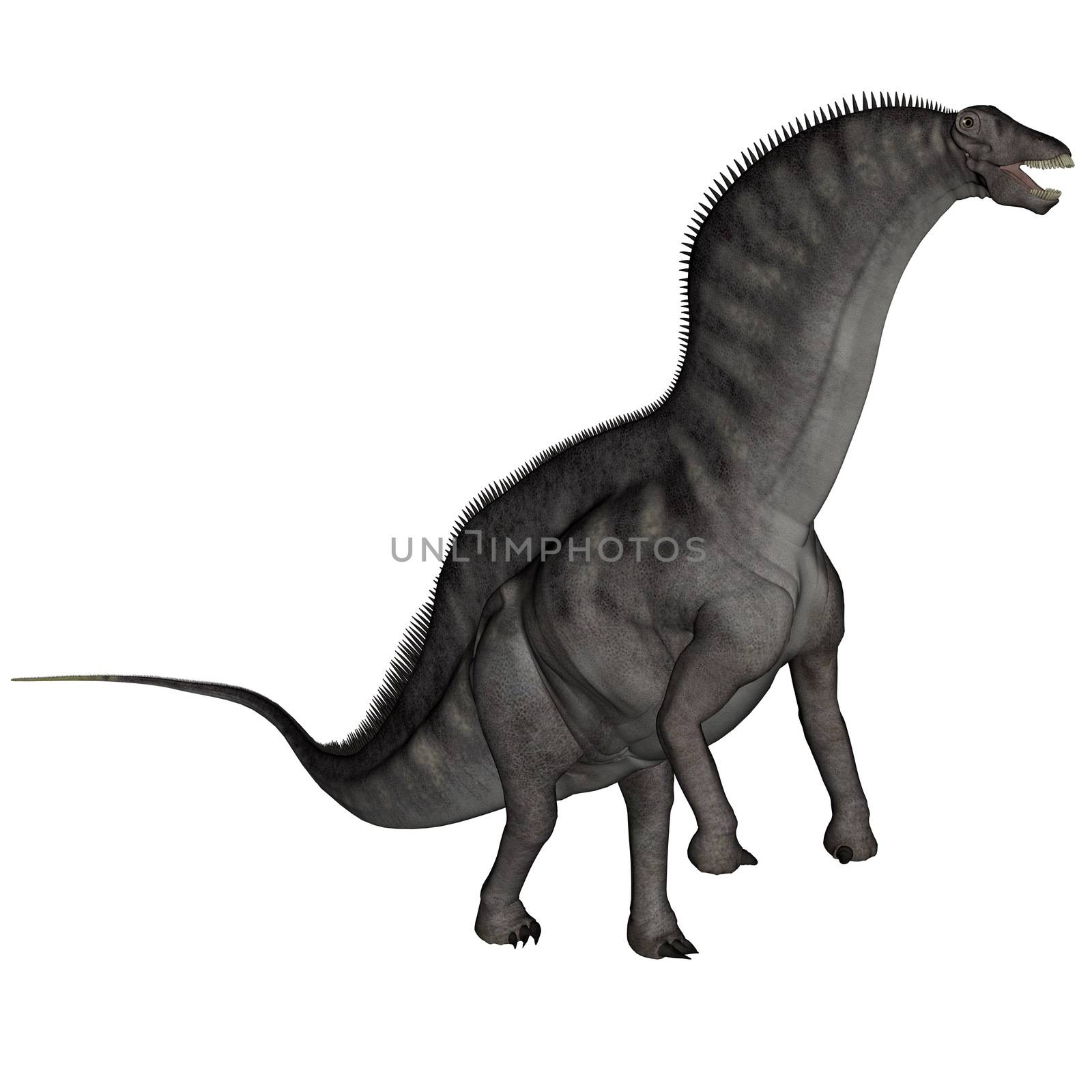 Amargasaurus dinosaur - 3D render by Elenaphotos21