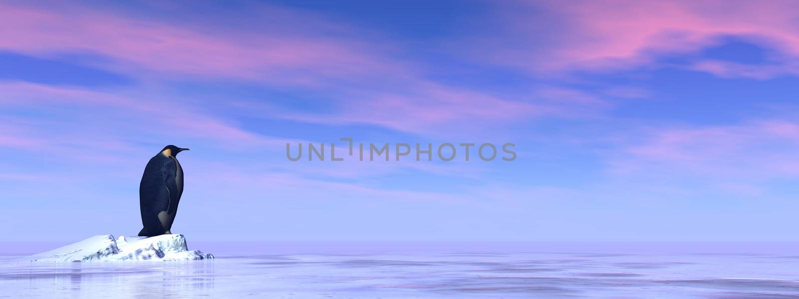 Single emperor penguin - 3D render by Elenaphotos21
