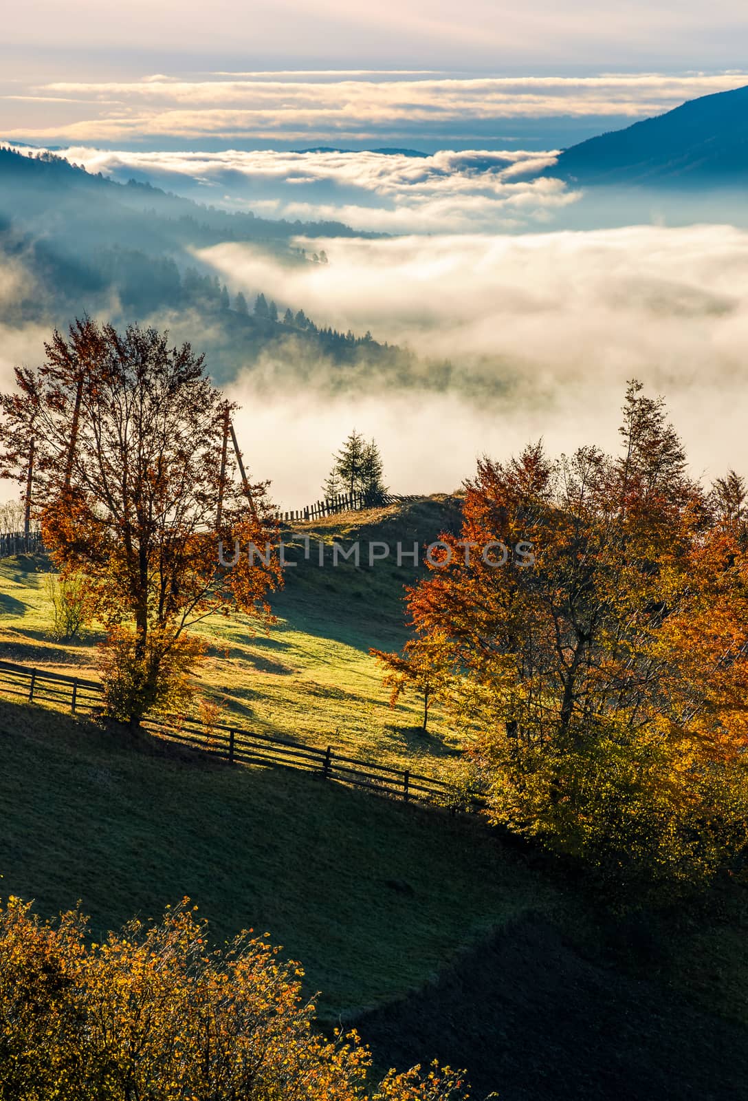 gorgeous countryside with rising fog in valley by Pellinni