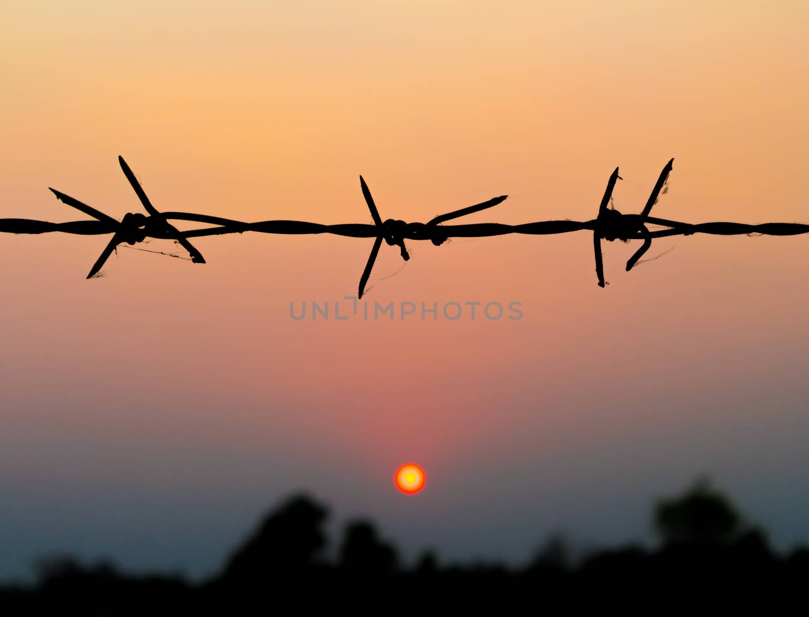 Silhouette of Barbed wire with blur sunset background