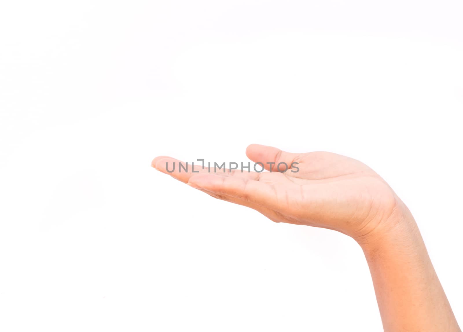 Woman hands praying on white background, religion concept