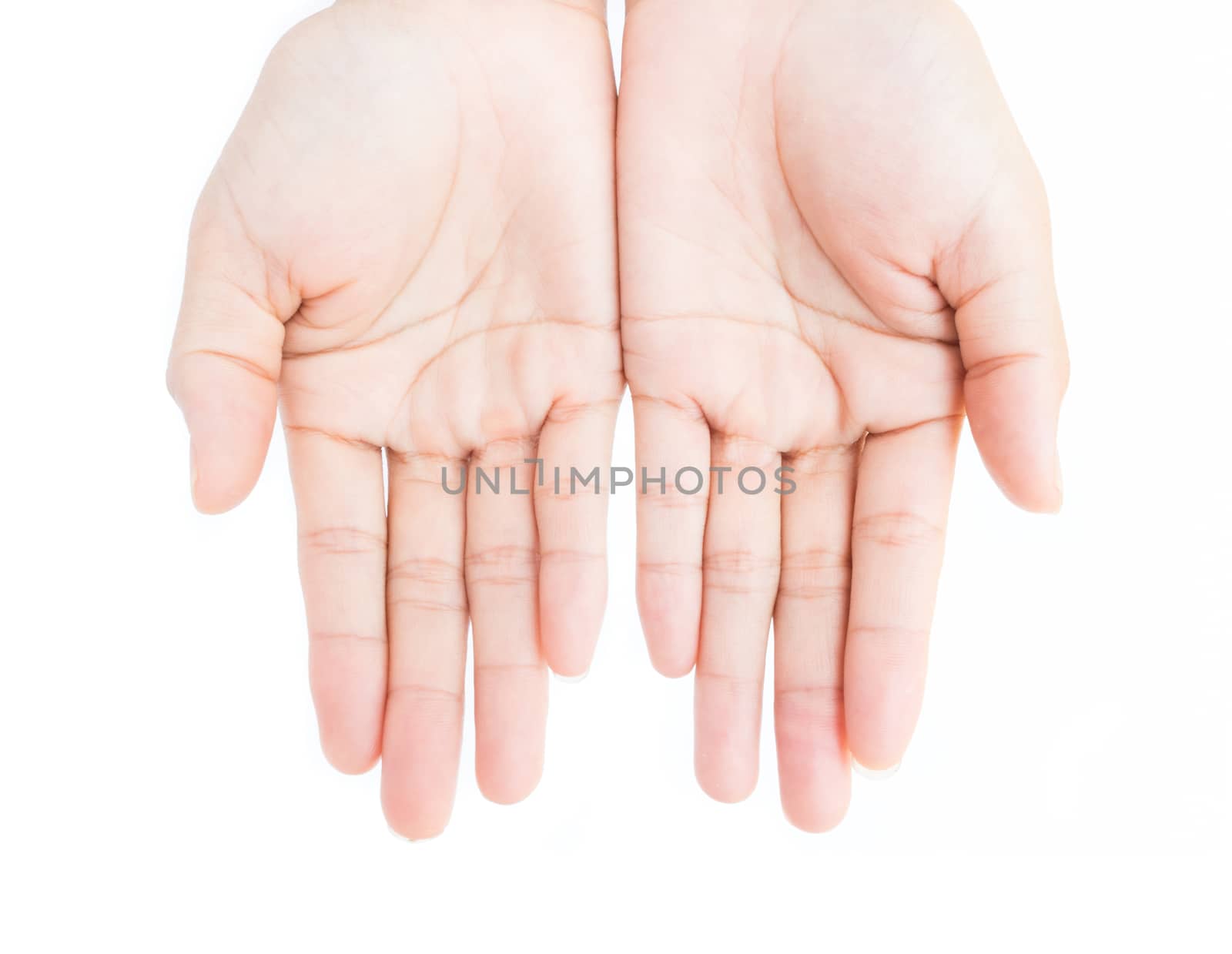 Woman hands praying on white background, religion concept