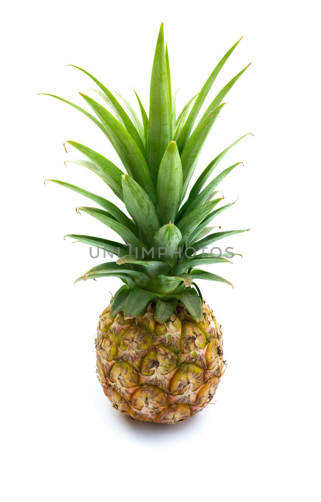 Fresh pineapple fruit on white background by pt.pongsak@gmail.com