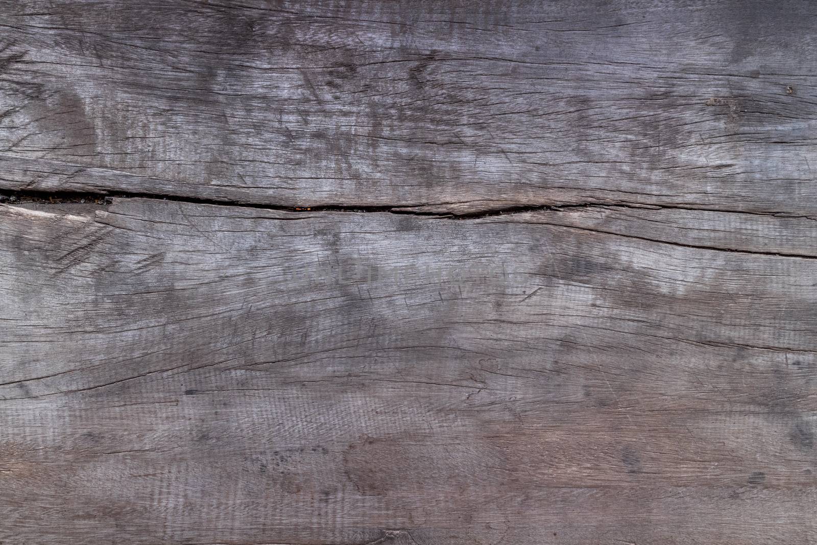 old wood background and texture
