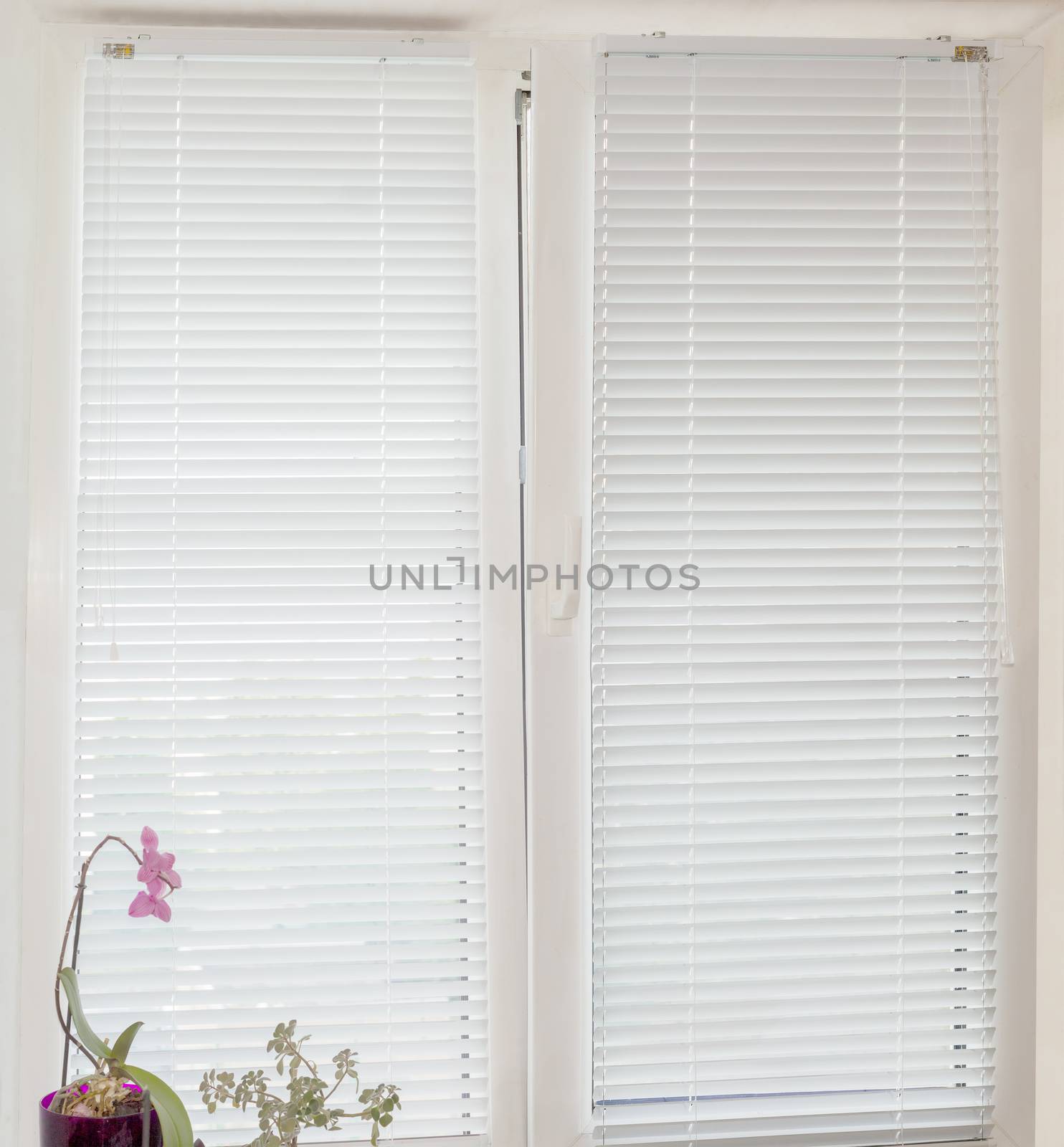 White Venetian blinds on a modern plastic window by anmbph