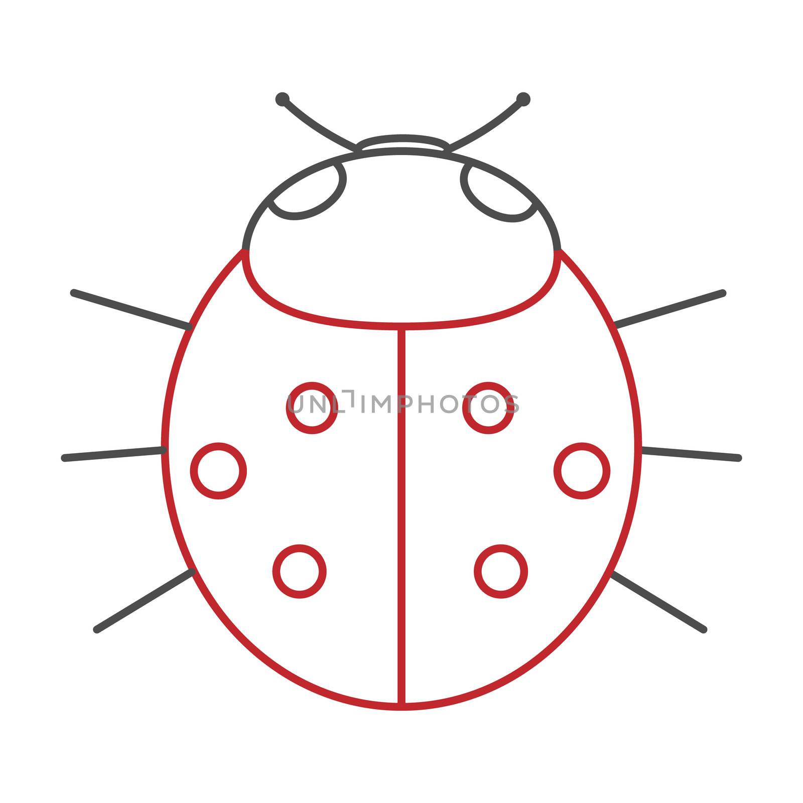 Lady-bird or red ladybug isolated on light background . Cartoon illustration.