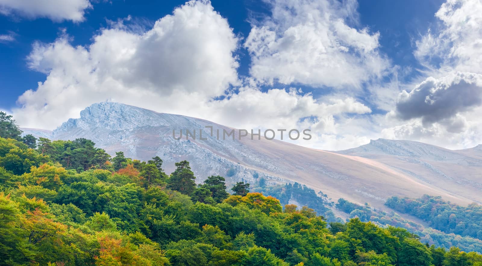 Part of the table hill with forest on a foreground by anmbph