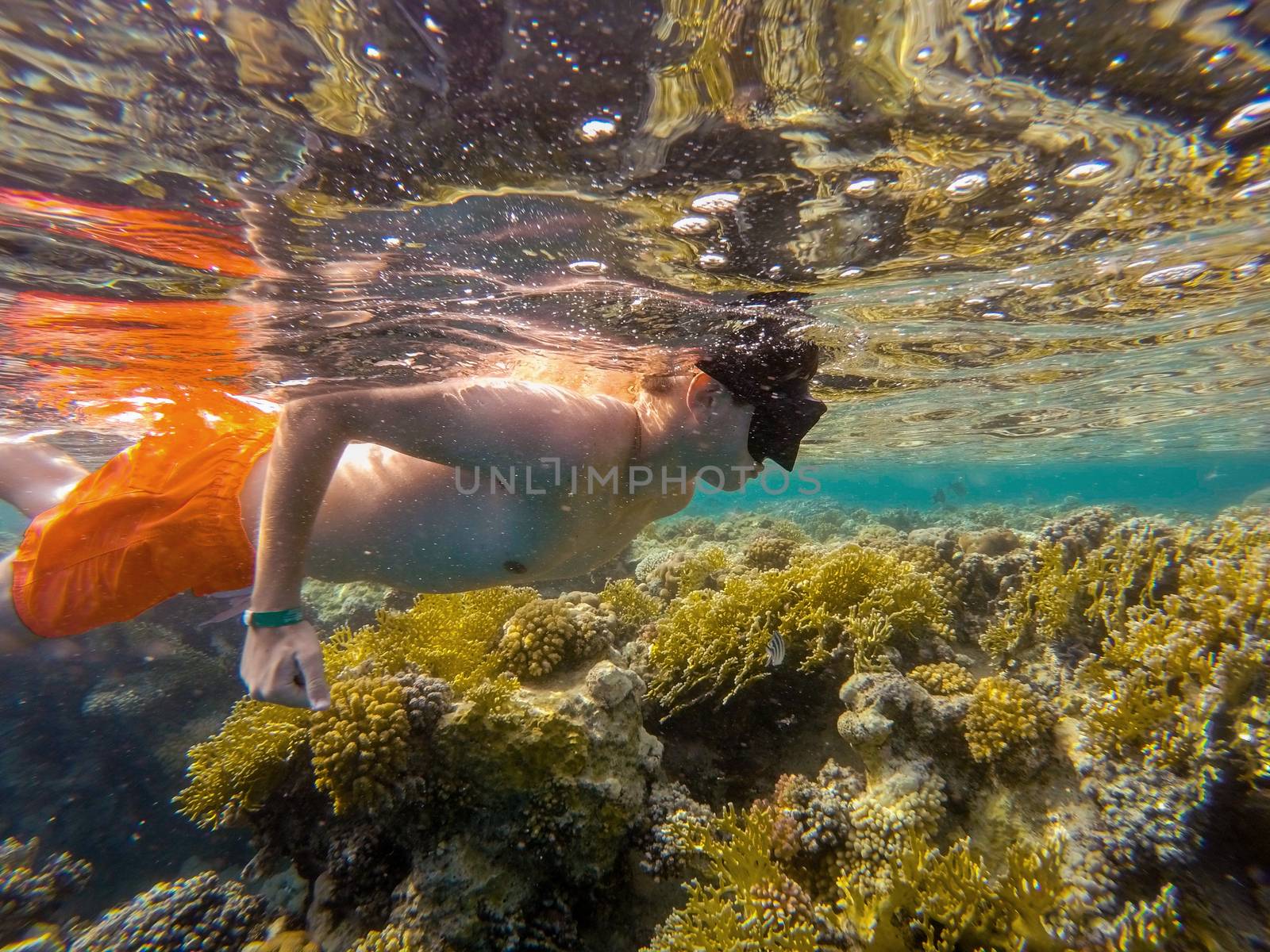 Young boy snorkel swim in underwater exotic tropics paradise with fish and coral reef. Marsa alam, Egypt. Summer holiday  vacation concept