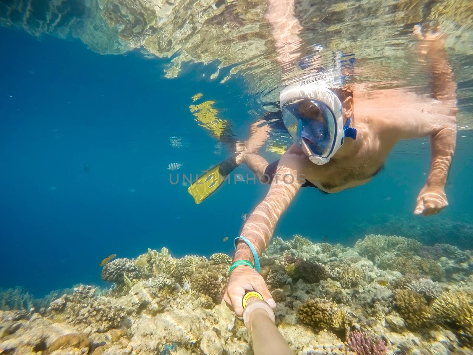 man snorkel in underwater exotic tropics paradise with fish and coral reef, beautiful view of tropical sea. Marsa alam, Egypt. Summer holiday vacation concept