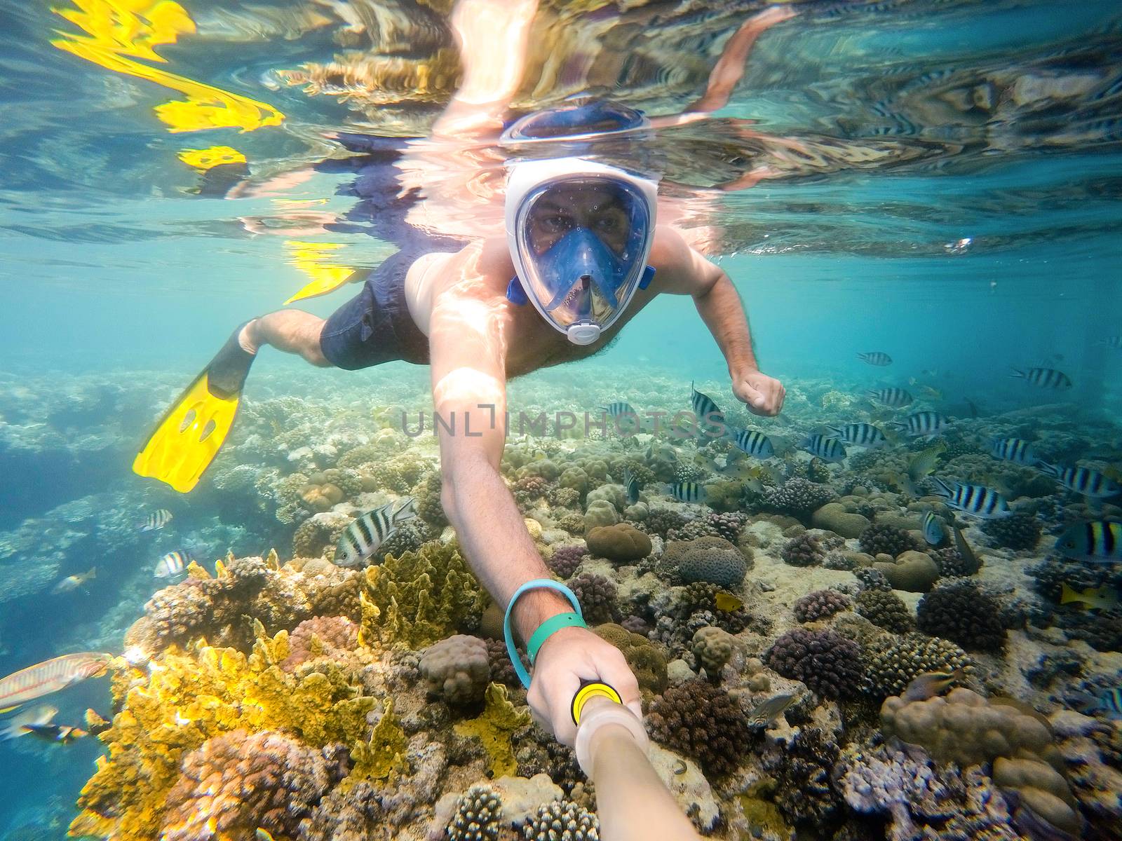 man snorkel in shallow water on coral fish by artush