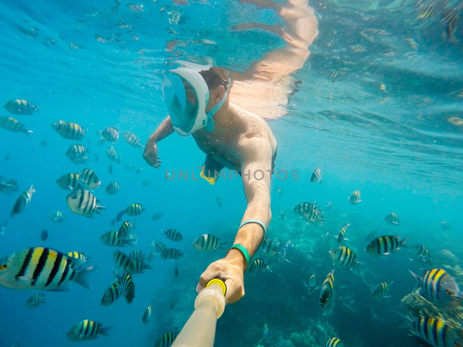 man snorkel in shallow water on coral fish by artush