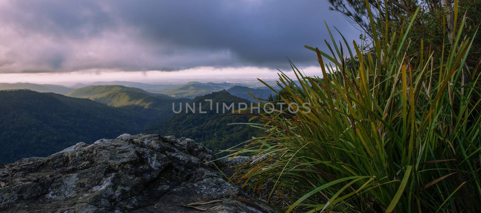 Mountain view from the Gold Coast Hinterlands by artistrobd