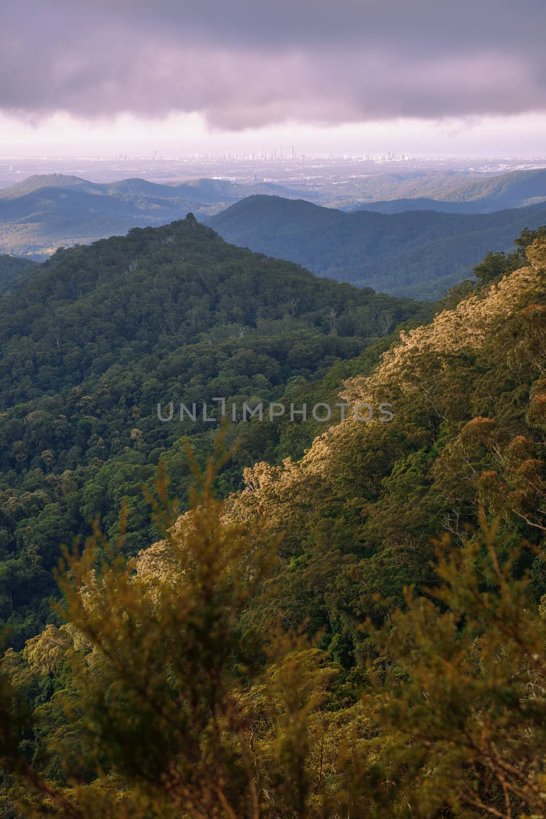 Mountain view from the Gold Coast Hinterlands by artistrobd