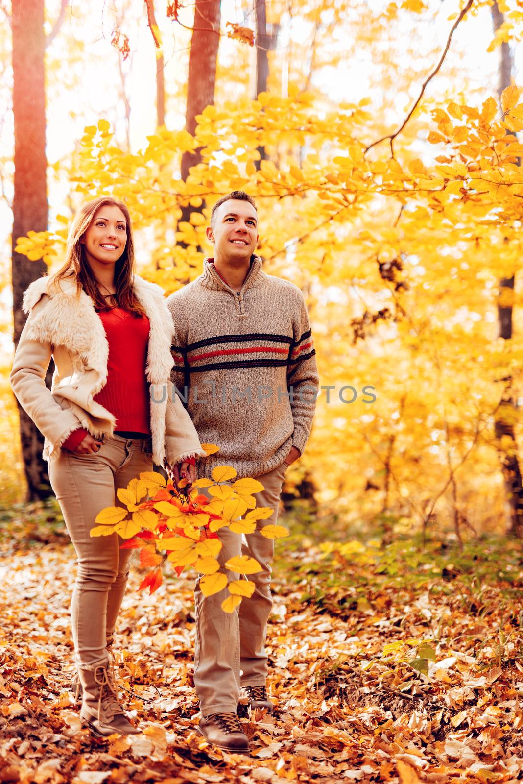 Beautiful smiling couple walking in sunny forest in autumn colors.