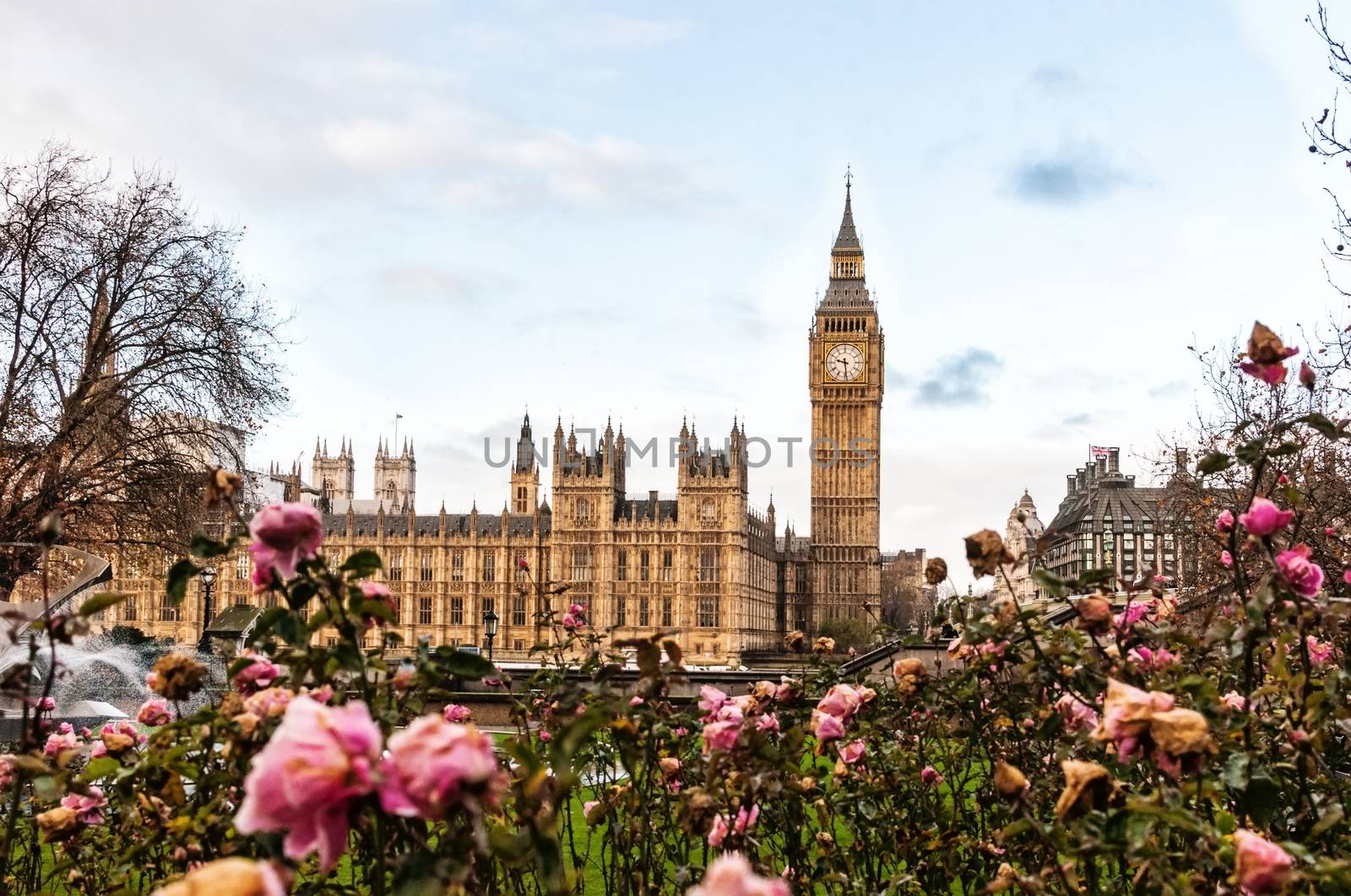 Big Ben and the park of St Thomas Hospital Trust, London by mitakag