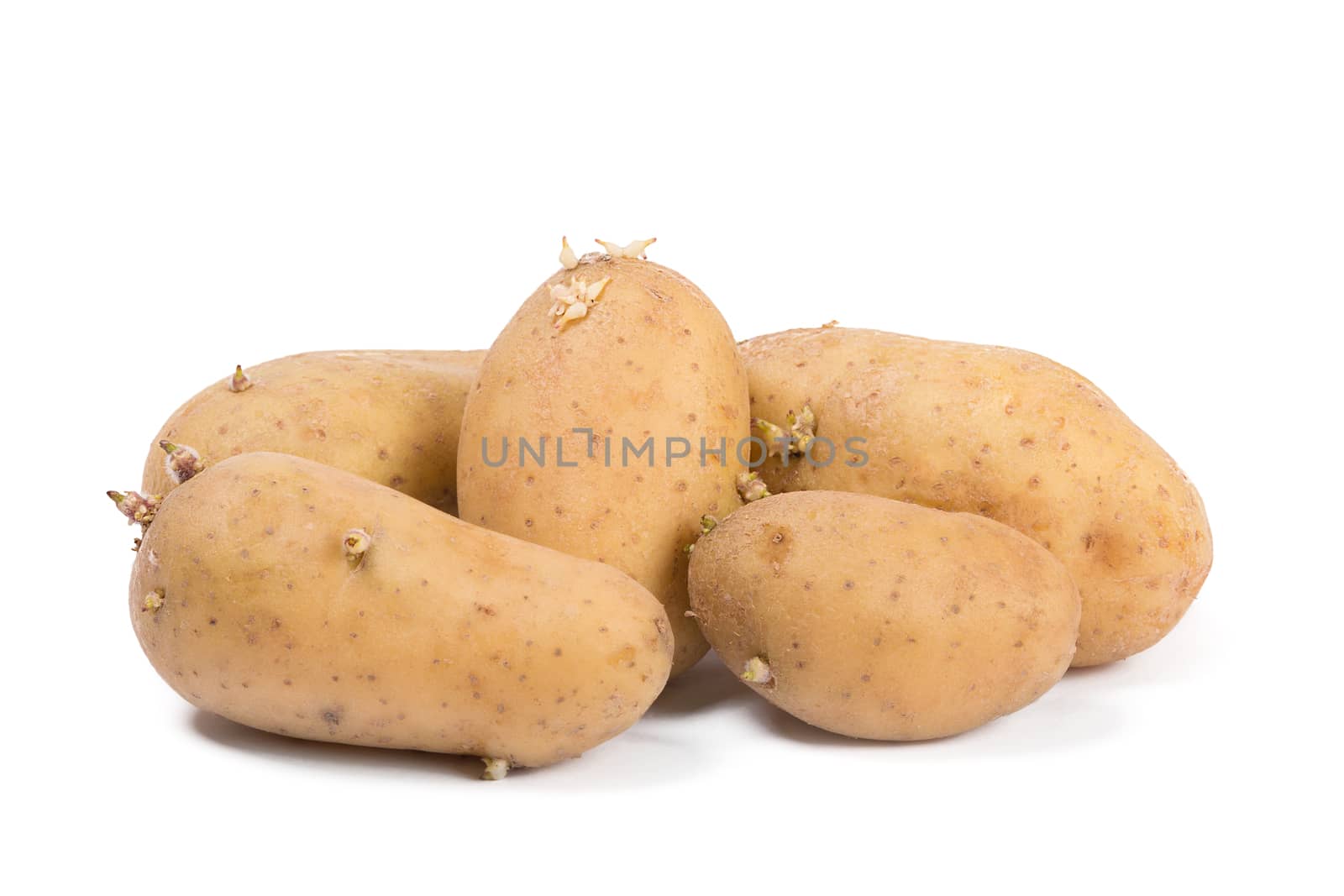 Old potatoes with sprouts isolated on white background. by ivo_13