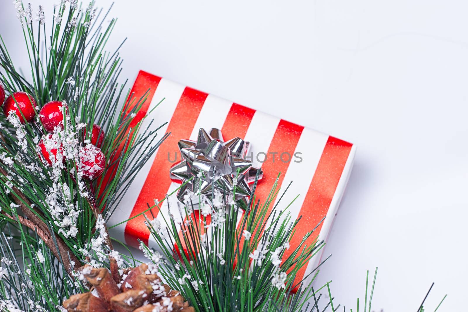 Pine Cones and Gifts on the white background