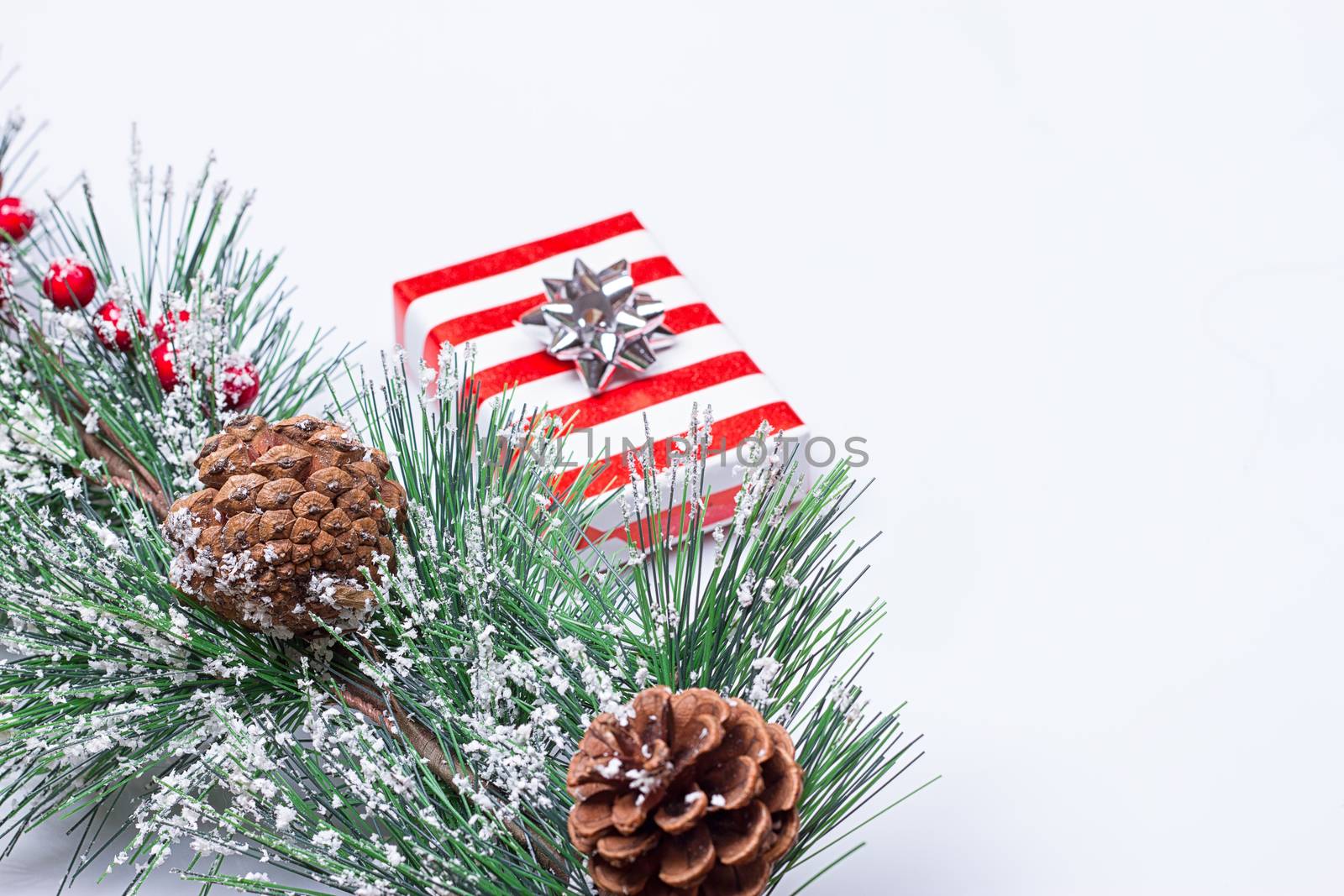 Pine Cones and Gifts on the white background