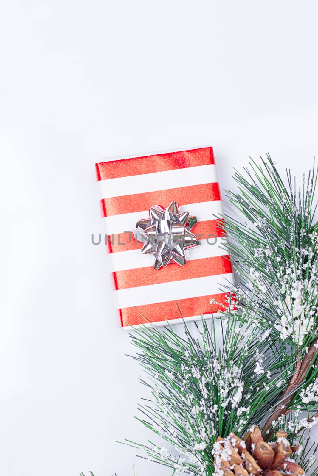 Pine Cones and Gifts on the white background