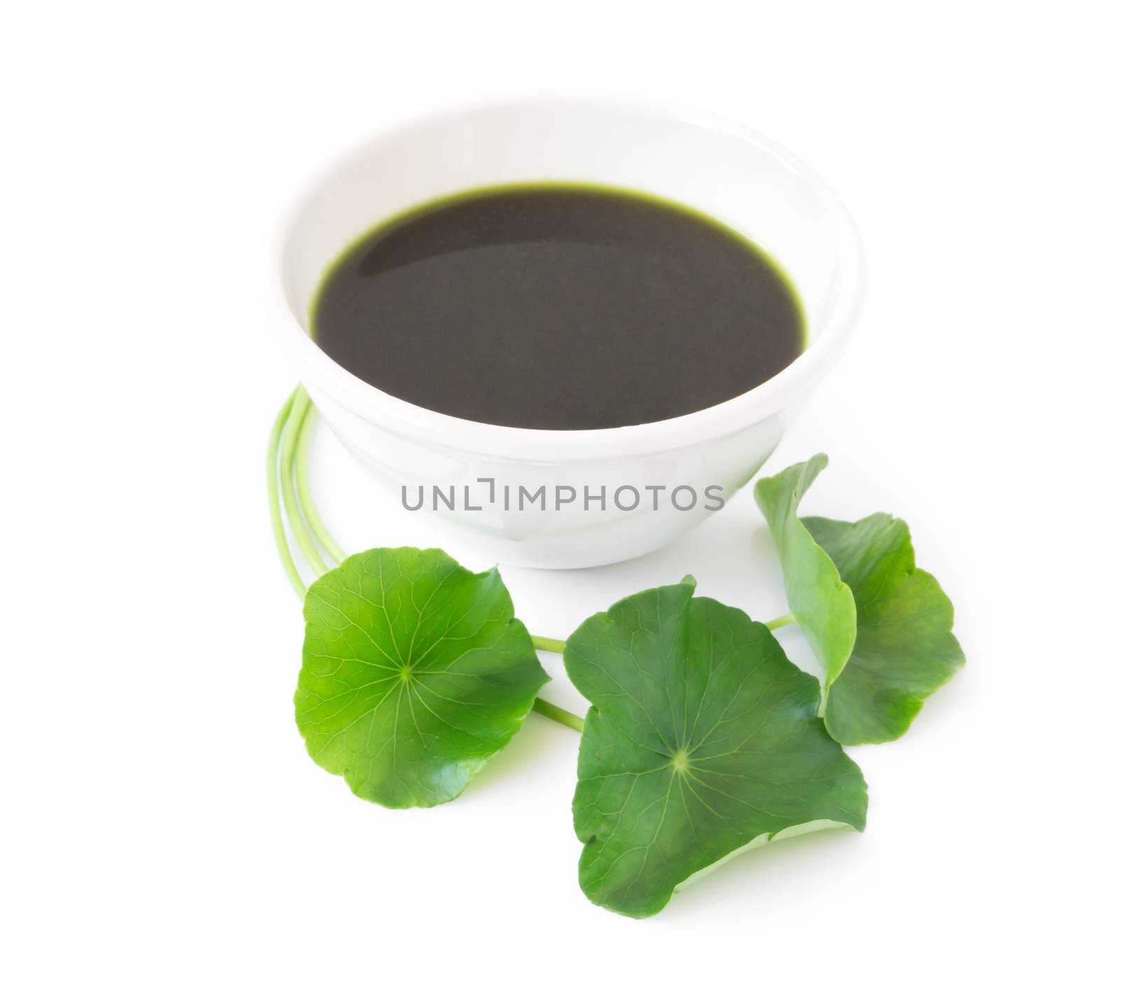 Closeup of Gotu kola's leafs drink on white background, herb and medical concept