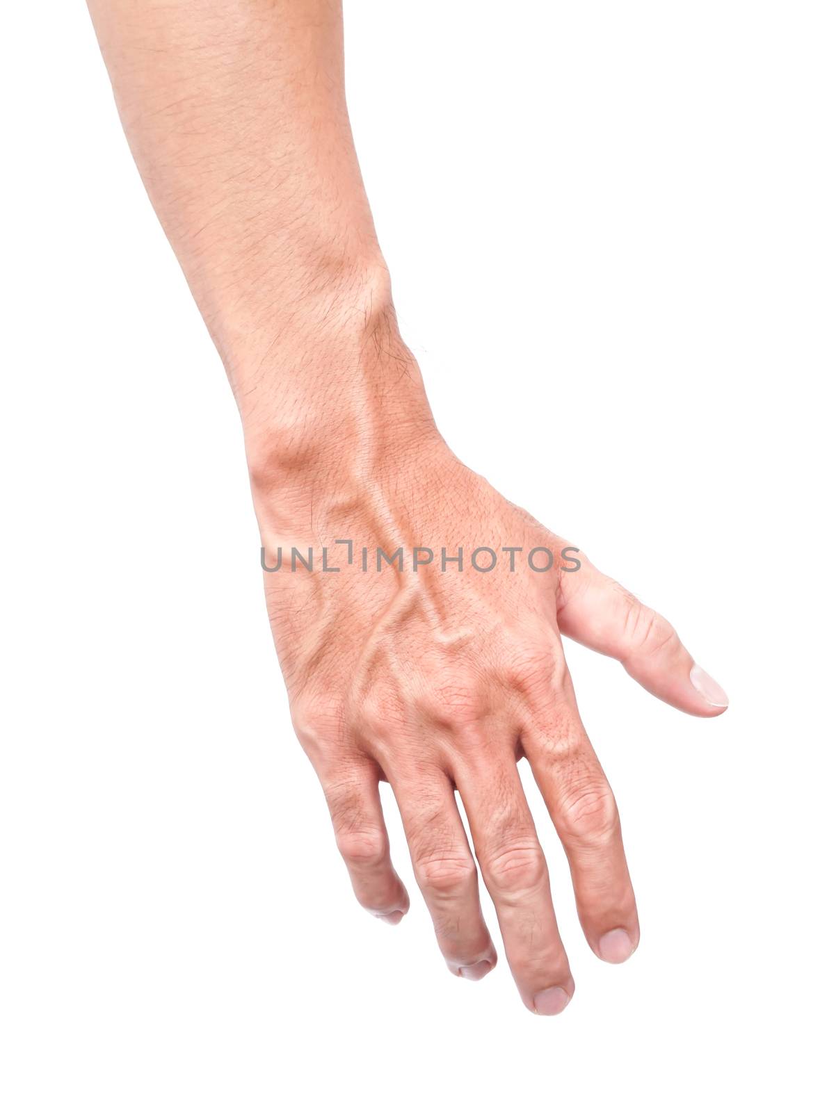 Man arm skin with blood veins on white background, health care a by pt.pongsak@gmail.com