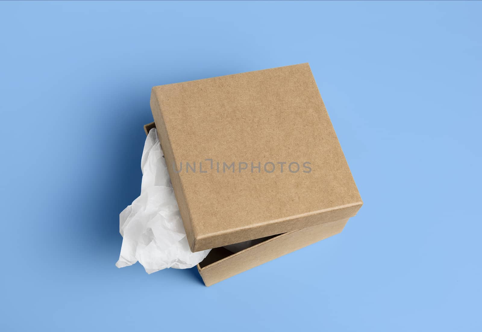 open cardboard box isolated on a background.