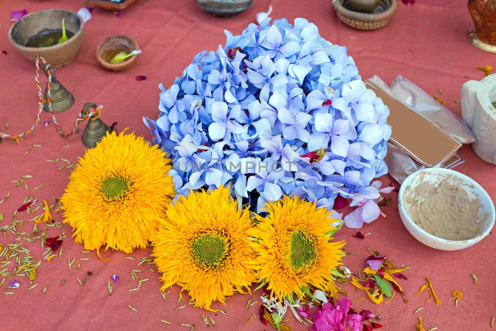 Attributes for doing a puja in Rishikesh India