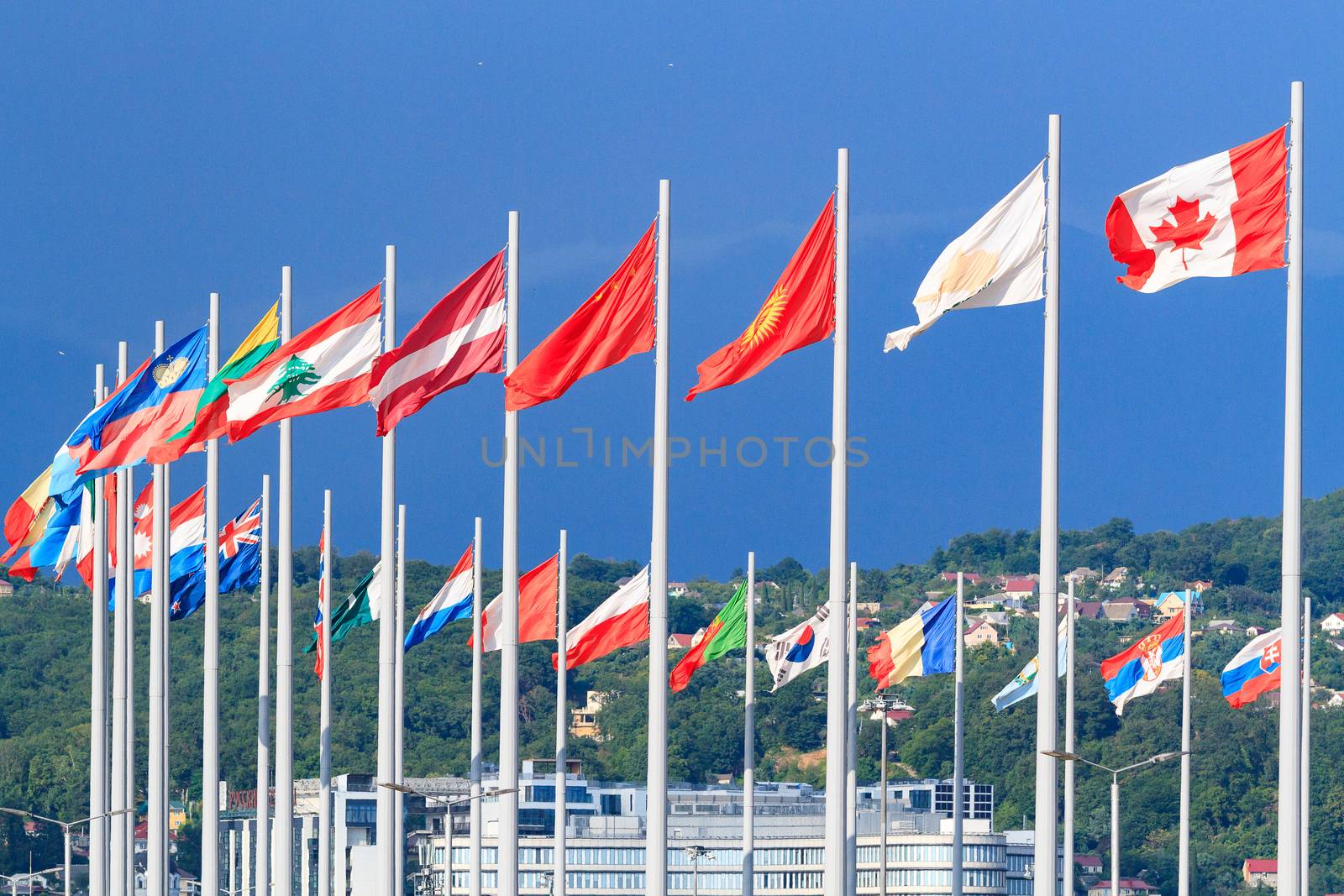 Flags of the world