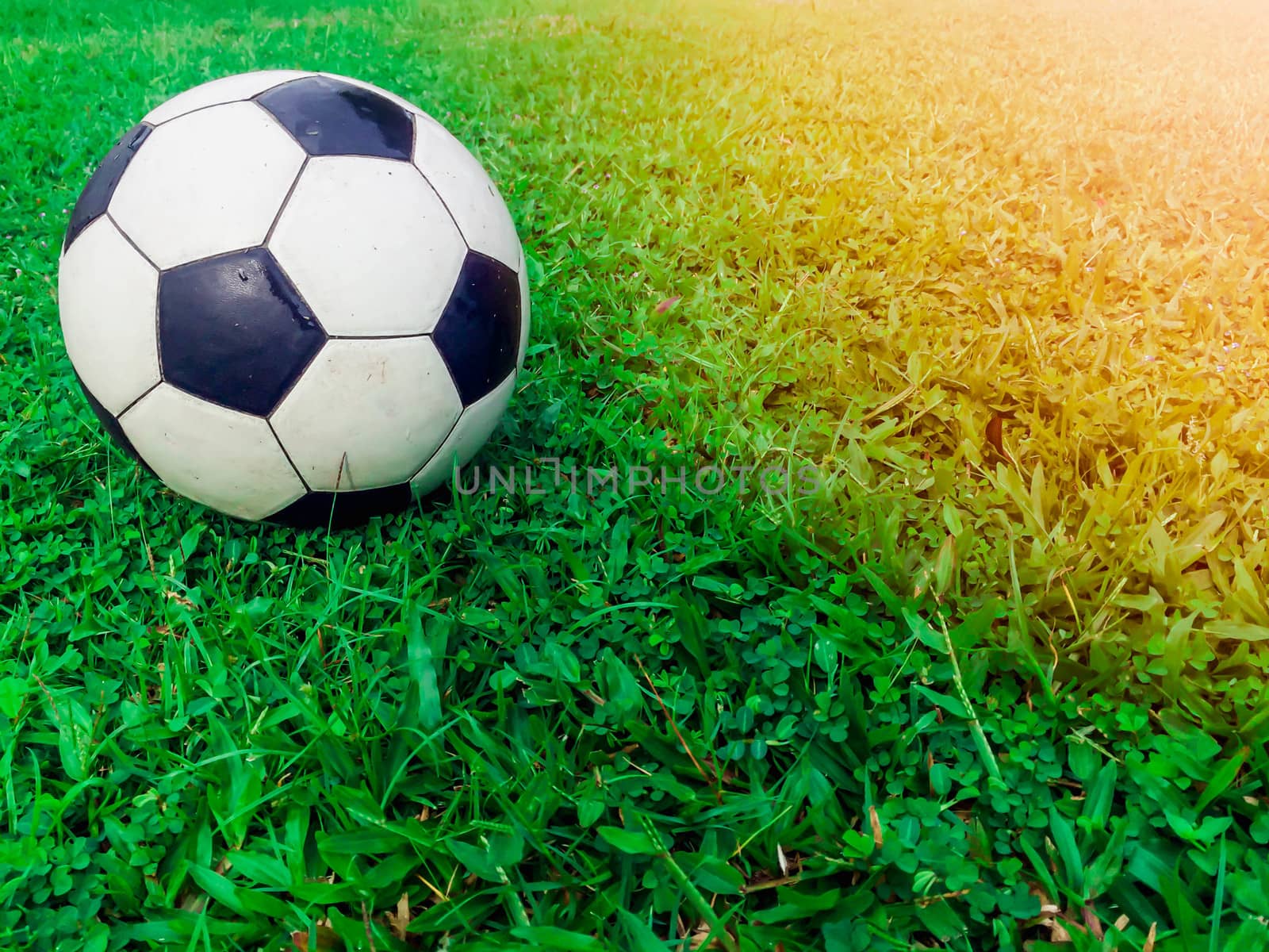 Football on the field with green grass