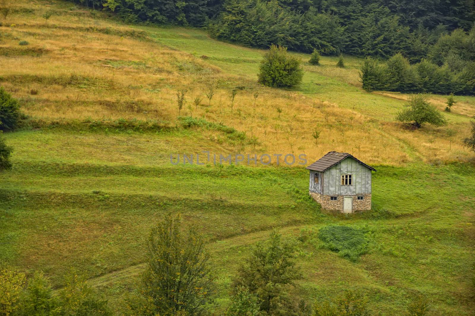 beauty alone old wooden house on a hill in a mountain