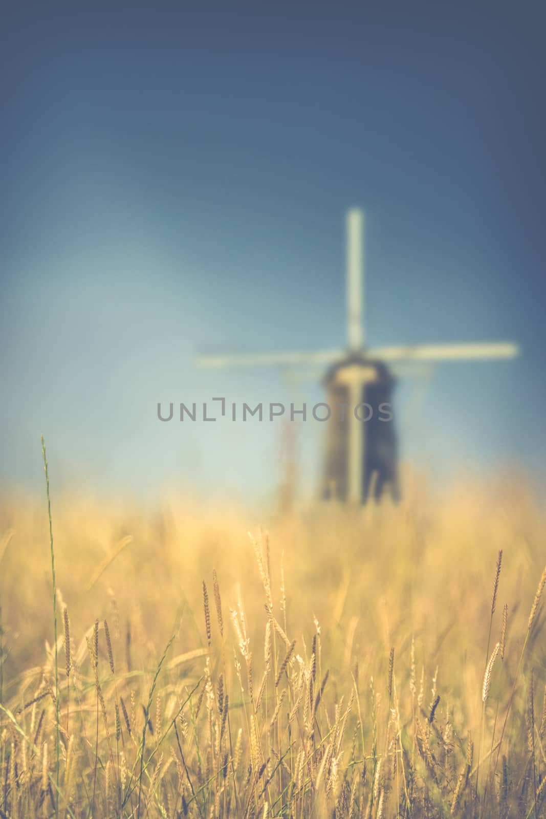 Retro Vintage Style Wheat Field With A Windmill In The Background With Shallow DoF