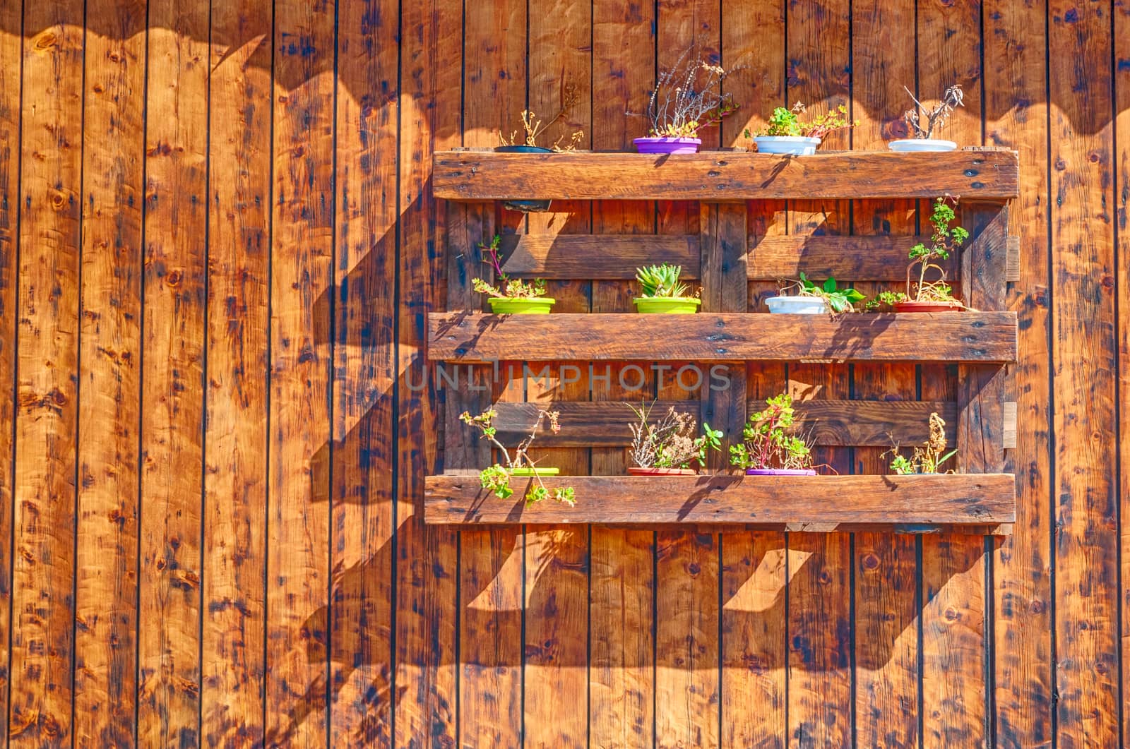 Little flower pots on wooden wall with copy space by replica