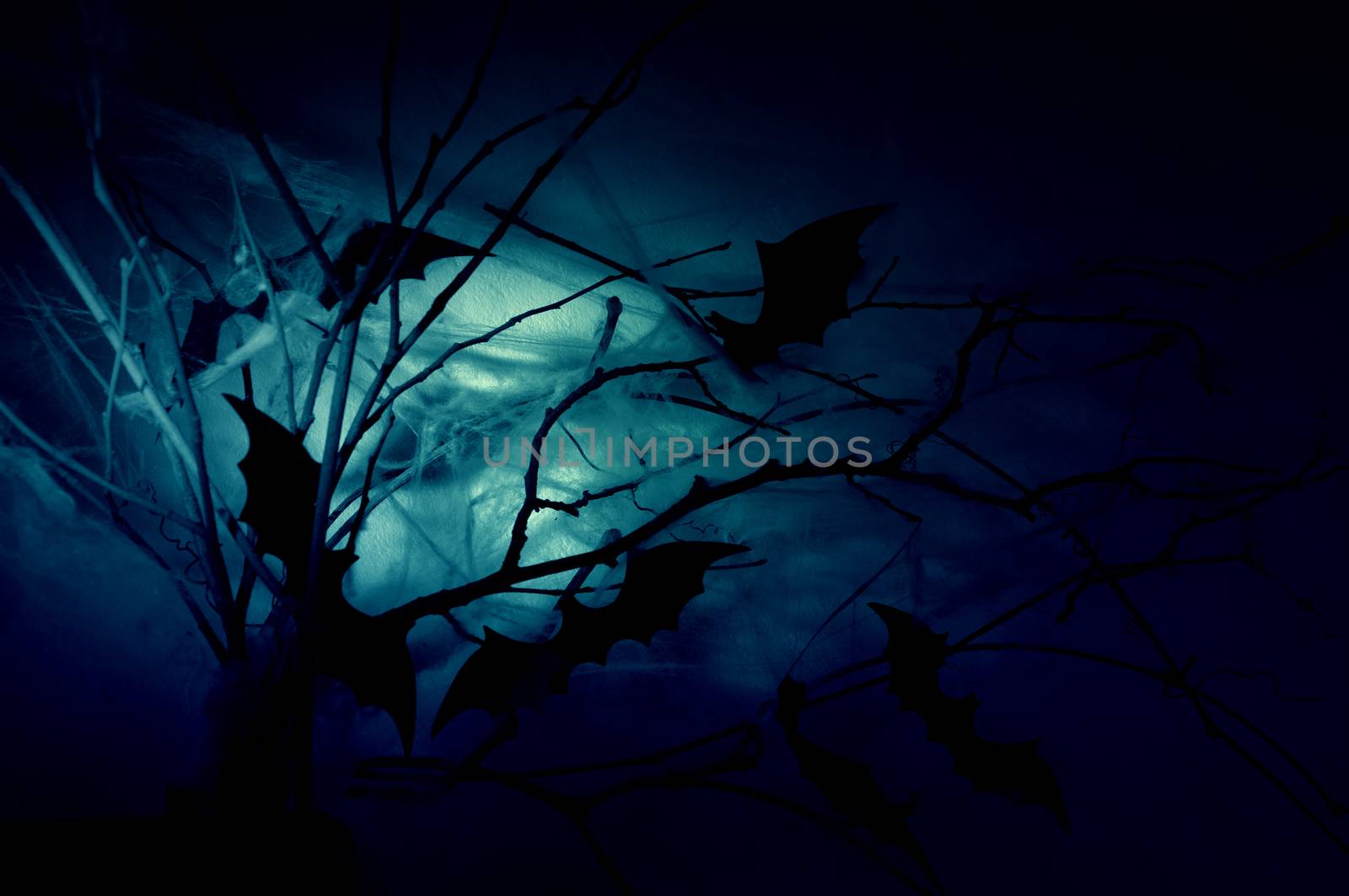 Decor of the silhouettes of bats on branches in a web in the night haze.