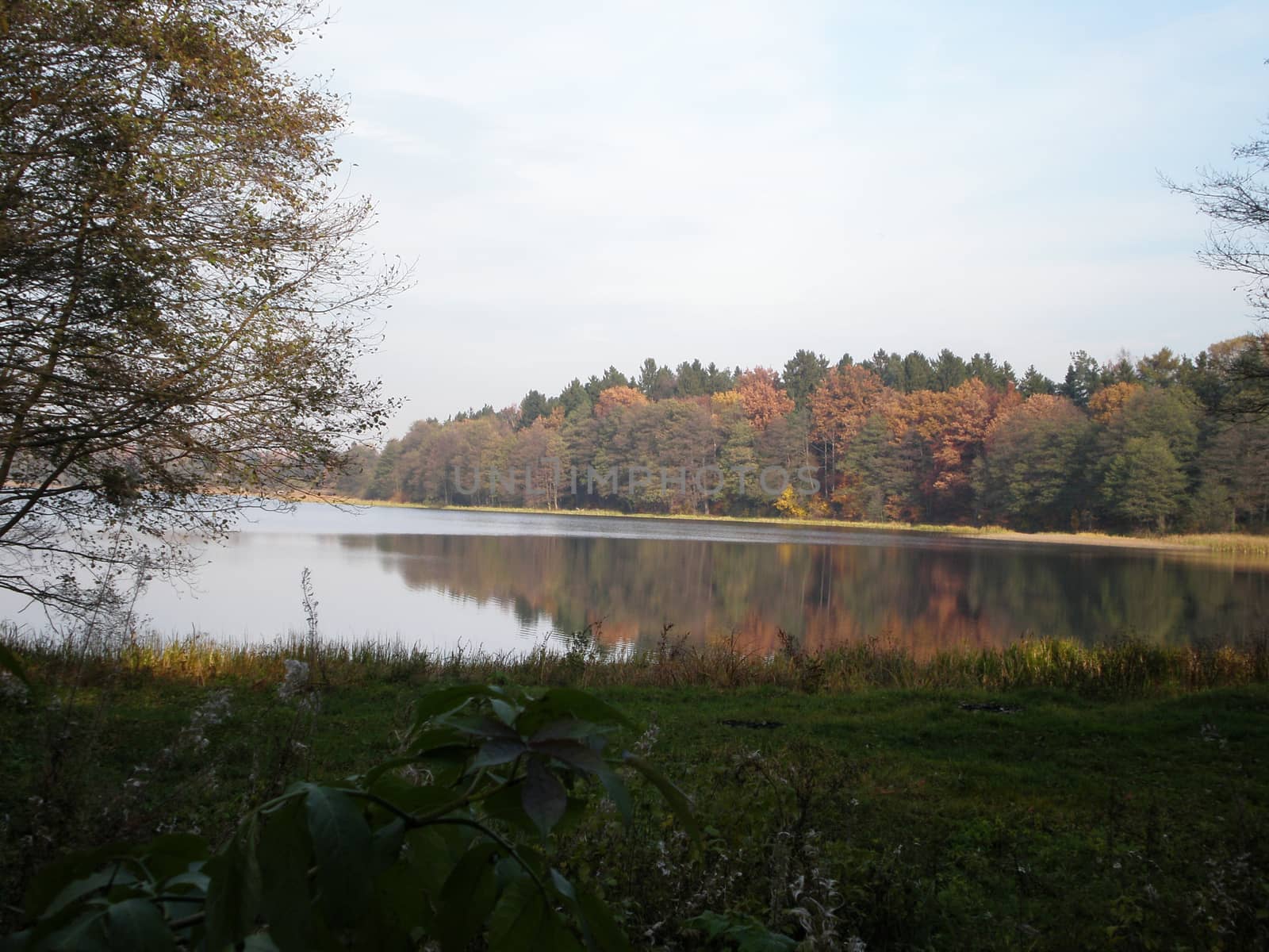 Lake on the background of the forest. by Kasia_Lawrynowicz