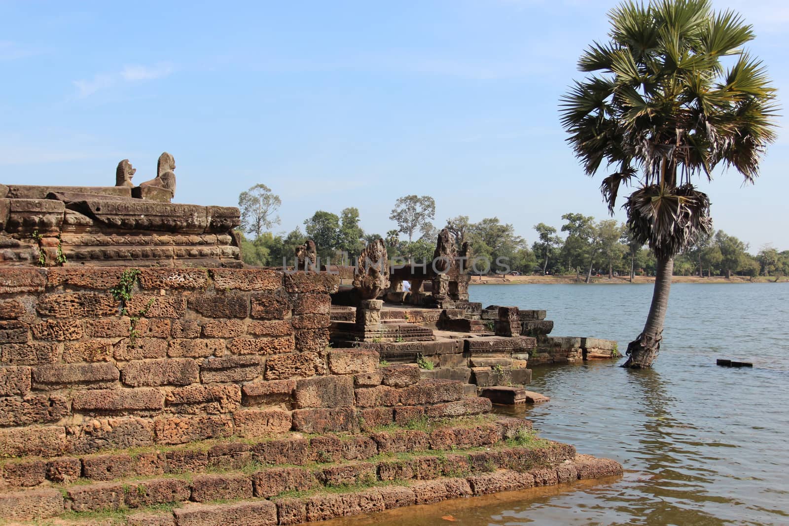 Pond near the ruins of the ancient temple of the temple in the middle of the jungle. Complex Angkor, Cambodia