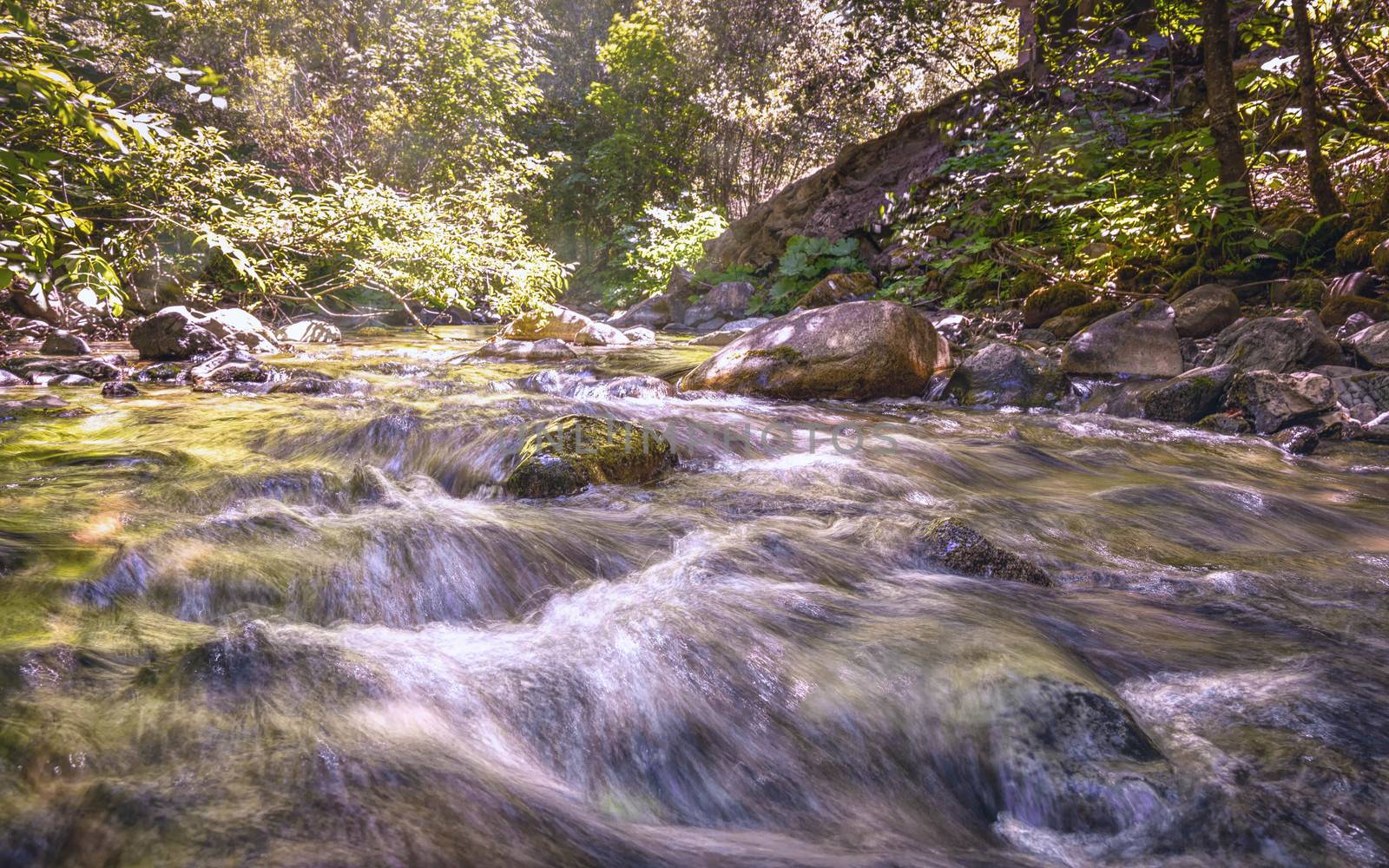 A Small River in Northern California, Color Image