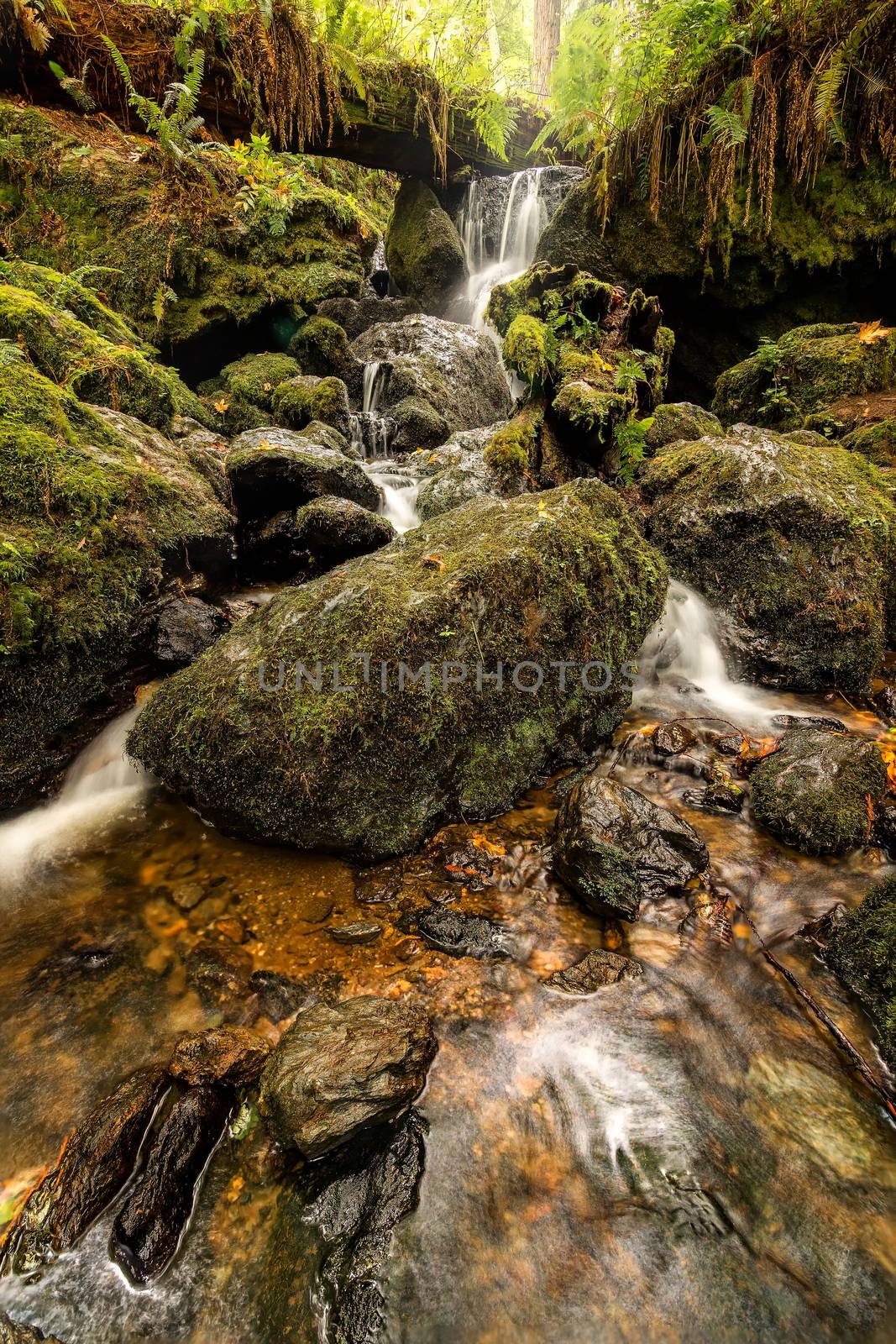 Small Waterfall in the Mountains of Northern California, Color Image