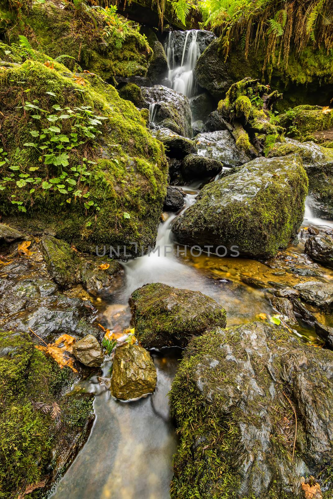 Small Waterfall in the Mountains of Northern California by backyard_photography