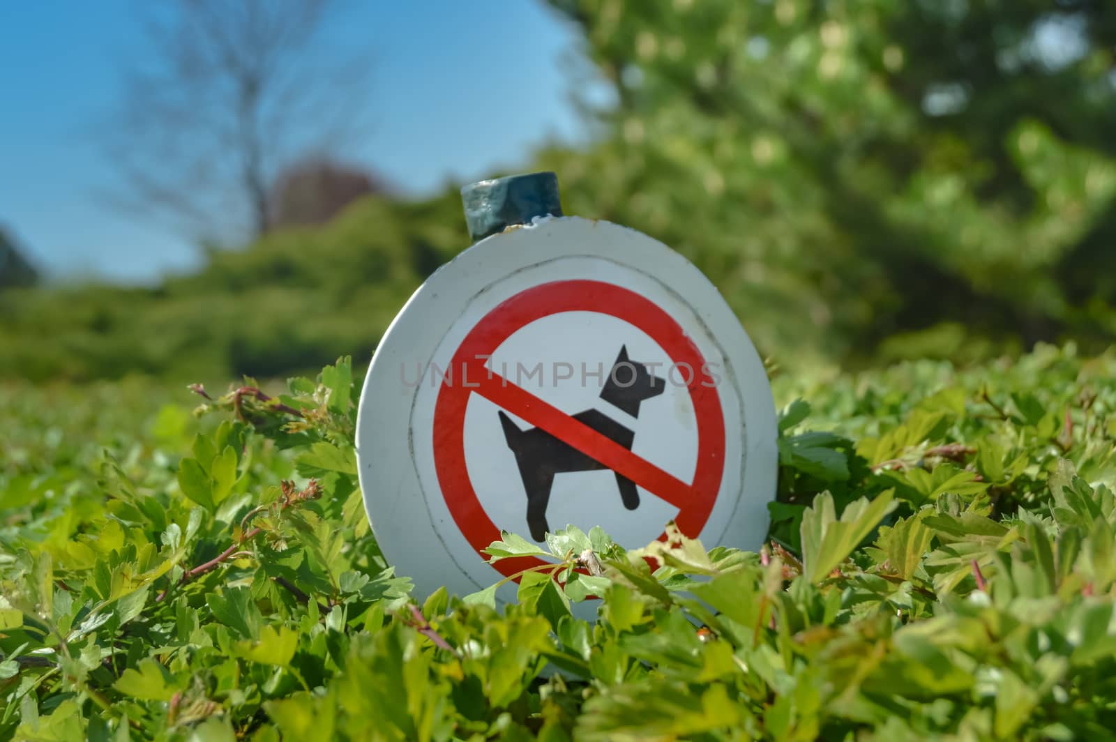 Barrier of the passage of dogs on a hedge in bushes in a park in France