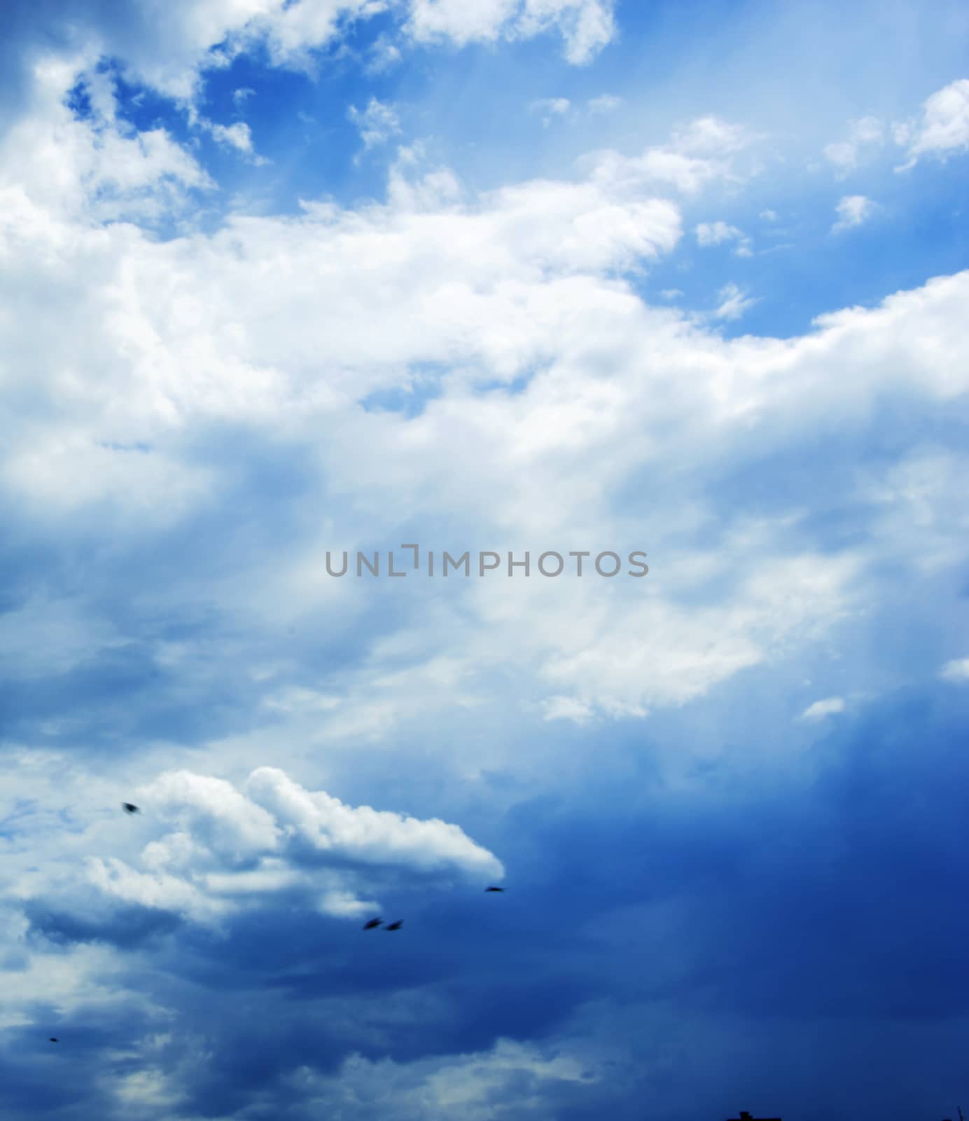 Blue sky with clouds photo. Beautiful picture, background, wallpaper 
