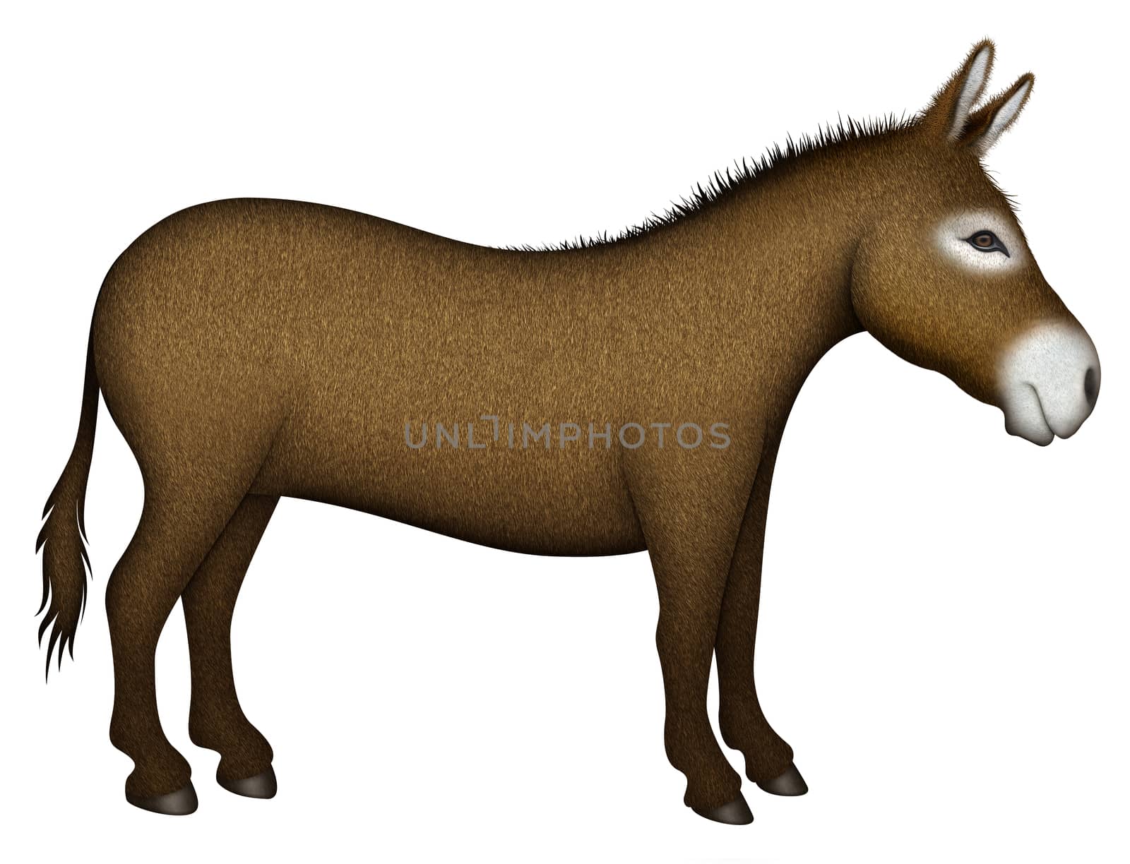 Digital illustration of a donkey — side view.