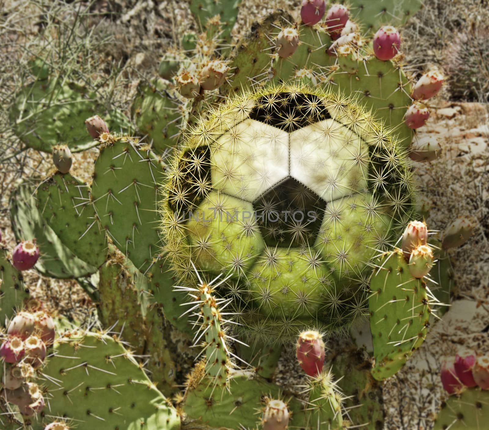 Photo-illustration of a cactus soccer ball and a desert landscape.