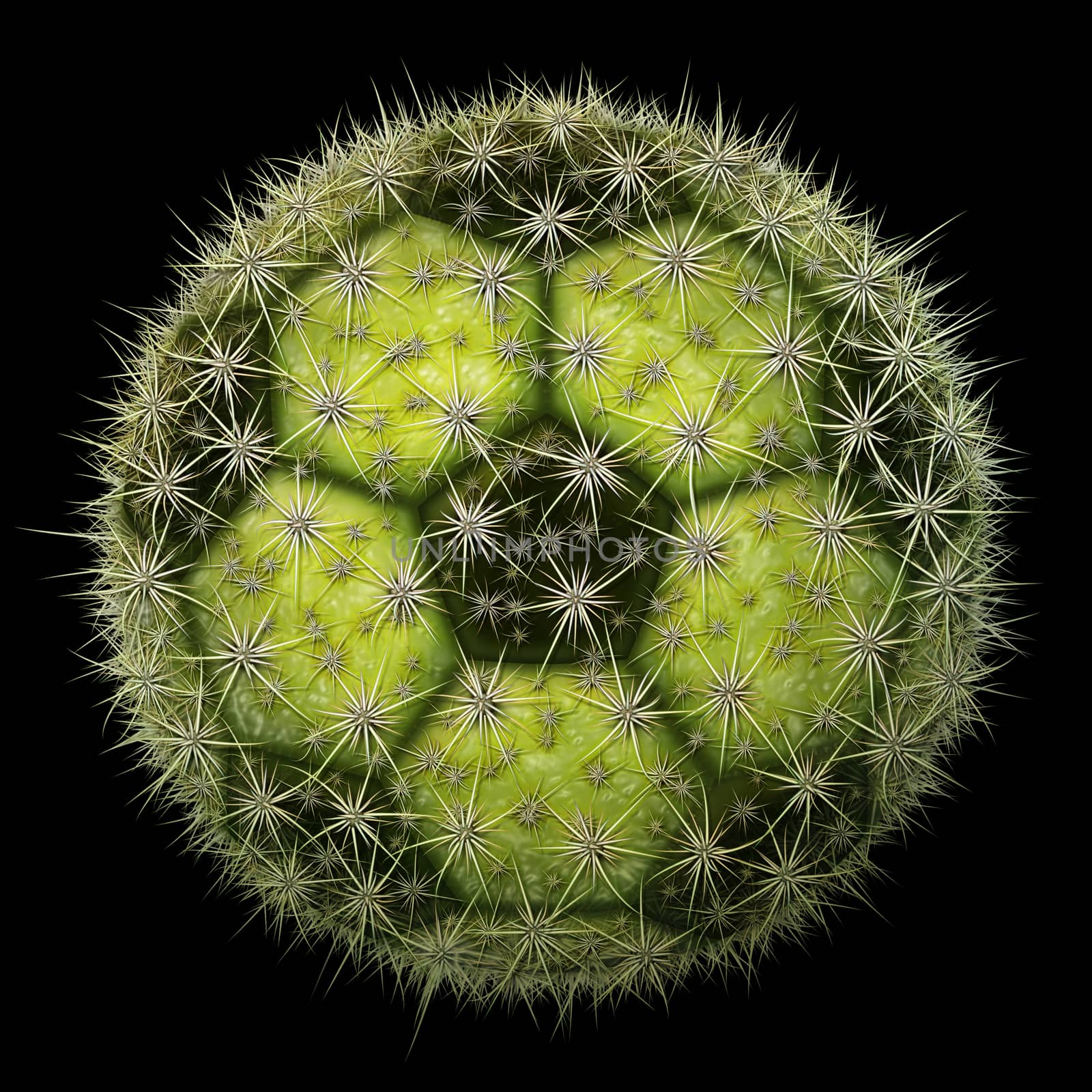 Digital illustration of a soccer ball with a cactus texture.