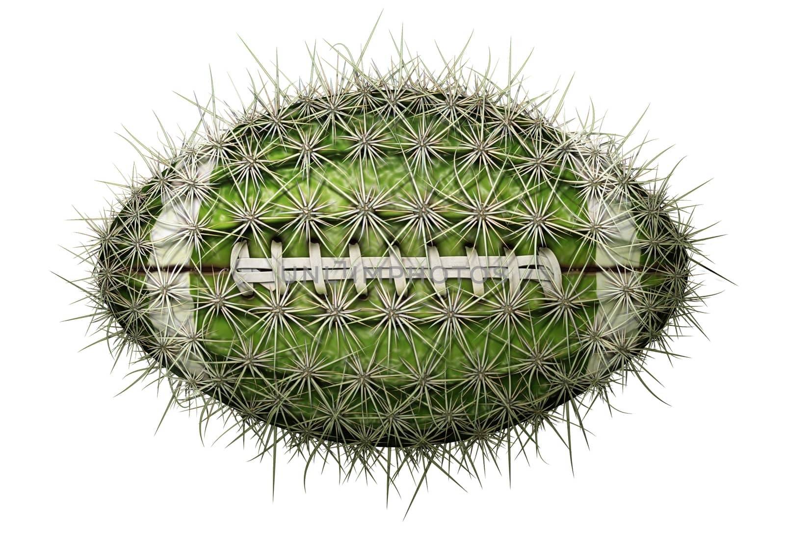 Digital illustration of a football-shaped cactus.