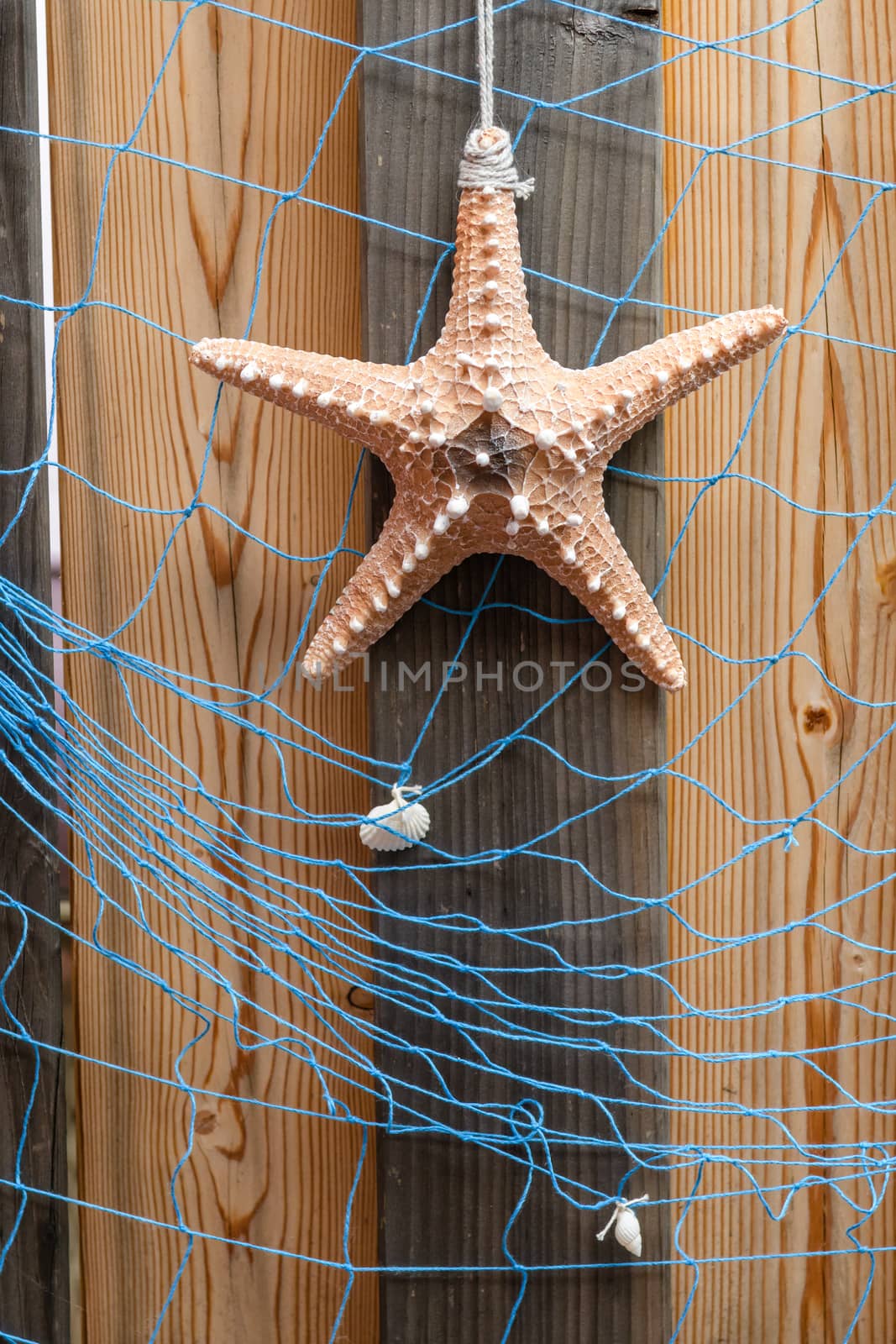 Starfish background with sea star and blue net on weathered timber planks, modern summer design and decoration