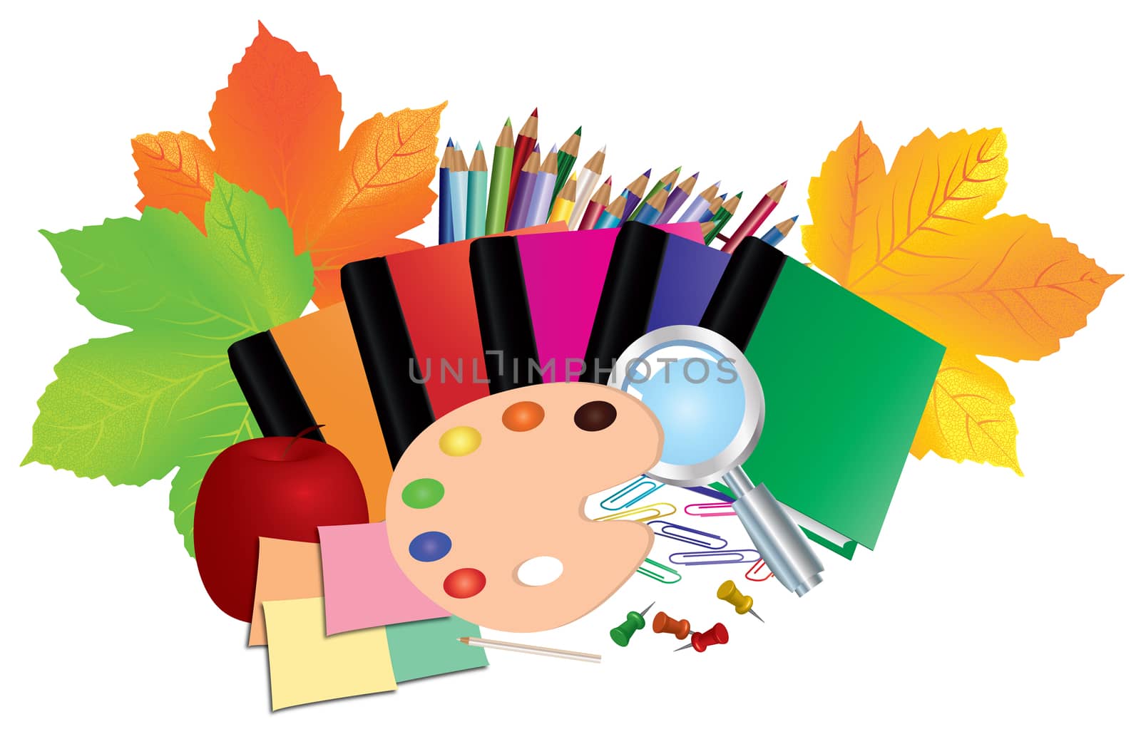 Image of school supplies, equipment, accessories, items, tools. Cartoon illustration isolated on white background.