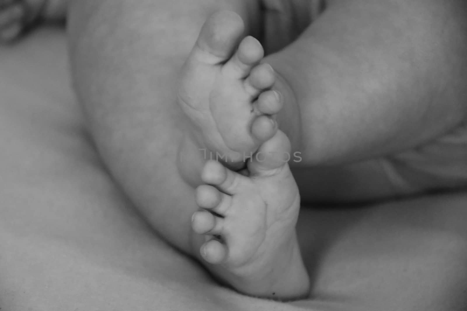 Baby, infant feet black and white photo, beautiful background for card,  banner, wallpaper design 