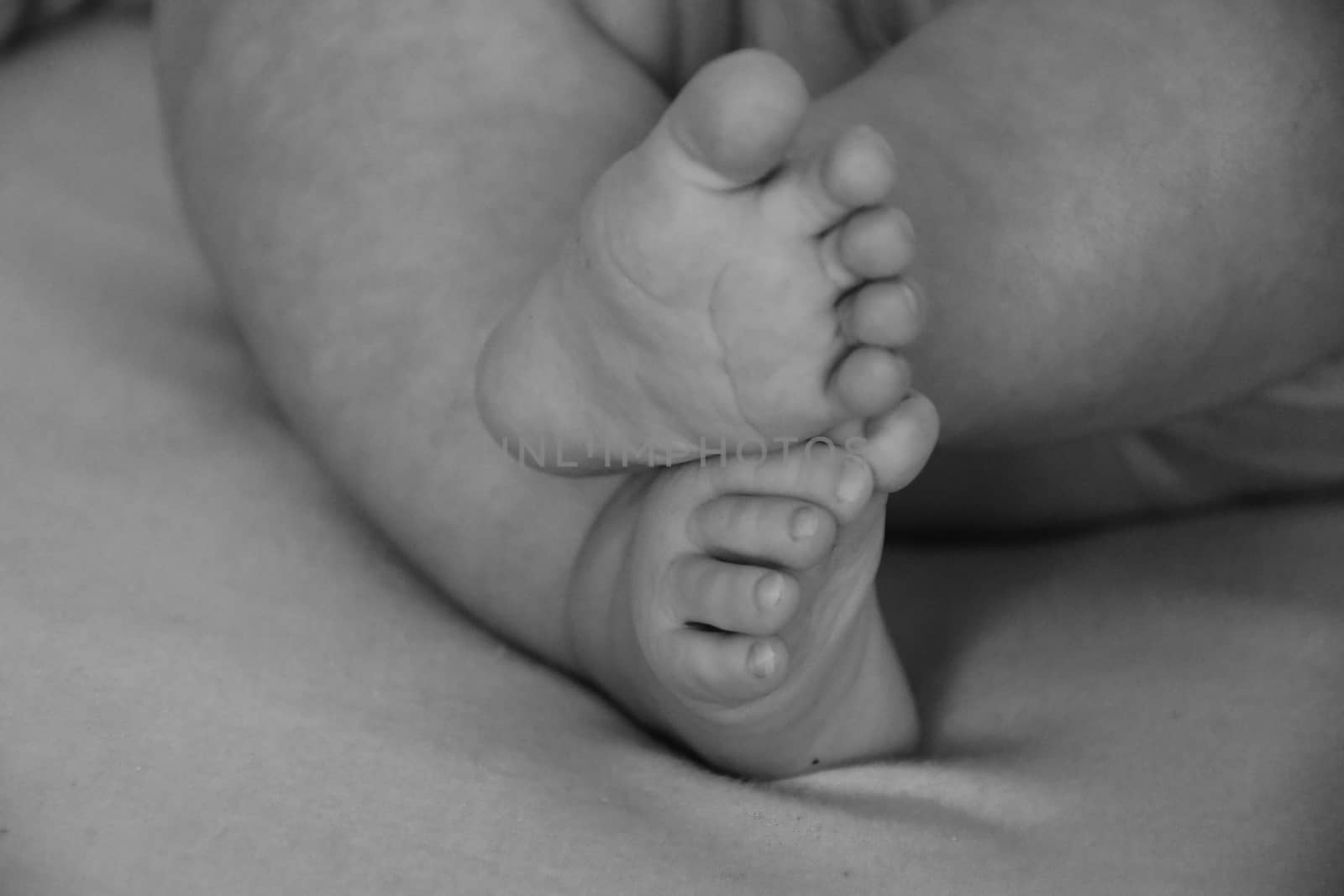Baby, infant feet black and white photo, beautiful background for card,  banner, wallpaper design 